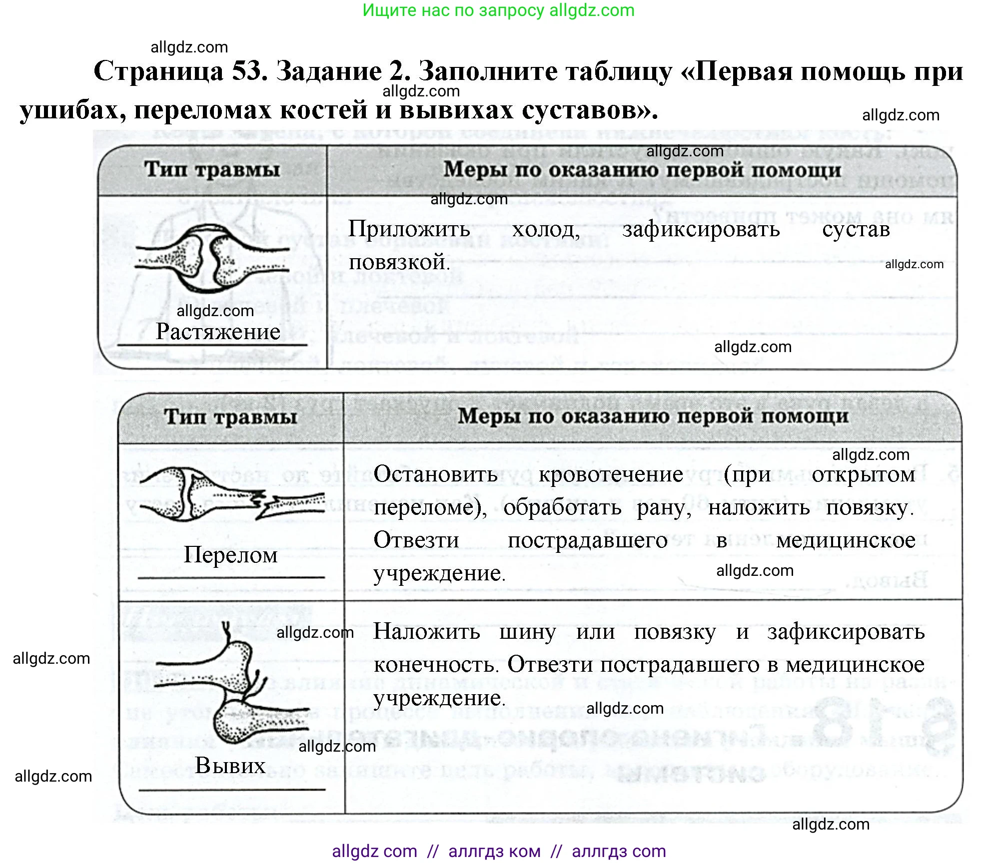 Биология, 9 класс рабочая тетрадь, авторы: Пасечник Владимир Васильевич, Швецов Глеб Геннадьевич, издательство Просвещение, Москва, 2023, розового цвета, страница 53, номер 2, Решение