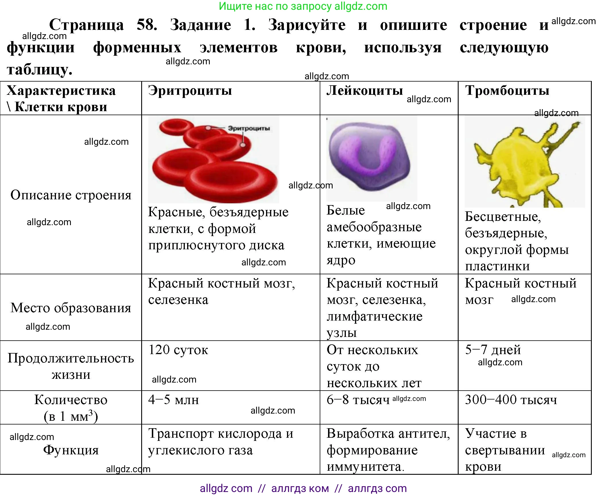 Биология, 9 класс рабочая тетрадь, авторы: Пасечник Владимир Васильевич, Швецов Глеб Геннадьевич, издательство Просвещение, Москва, 2023, розового цвета, страница 58, номер 1, Решение