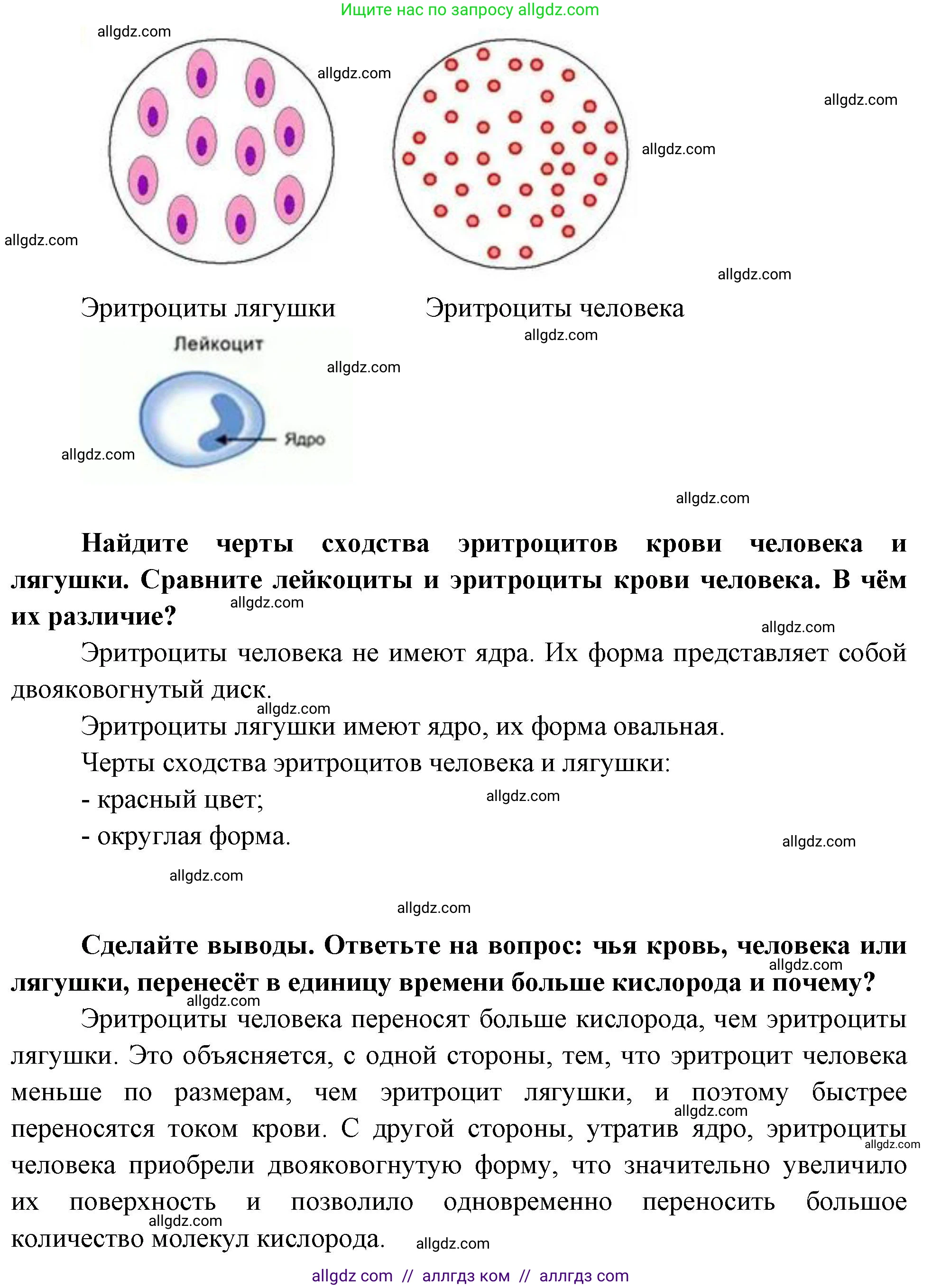 Биология, 9 класс рабочая тетрадь, авторы: Пасечник Владимир Васильевич, Швецов Глеб Геннадьевич, издательство Просвещение, Москва, 2023, розового цвета, страница 59, номер 6, Решение (продолжение 2)