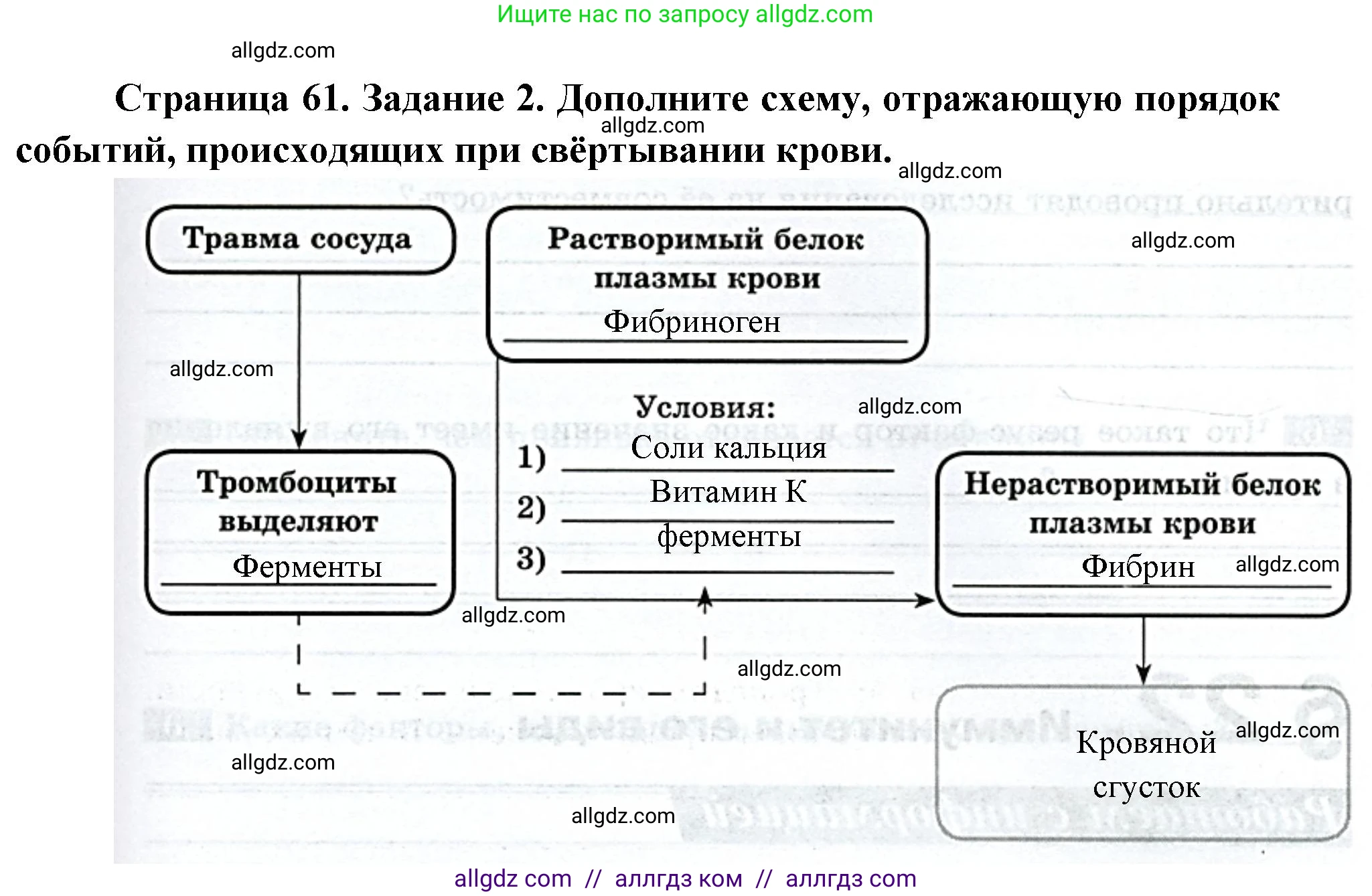 Биология, 9 класс рабочая тетрадь, авторы: Пасечник Владимир Васильевич, Швецов Глеб Геннадьевич, издательство Просвещение, Москва, 2023, розового цвета, страница 61, номер 2, Решение