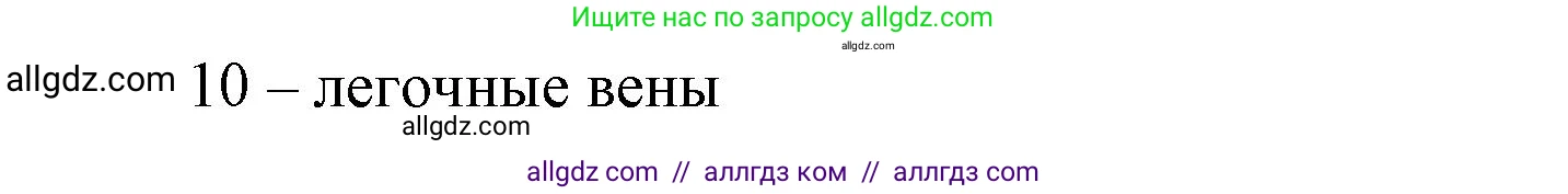 Биология, 9 класс рабочая тетрадь, авторы: Пасечник Владимир Васильевич, Швецов Глеб Геннадьевич, издательство Просвещение, Москва, 2023, розового цвета, страница 66, номер 3, Решение (продолжение 2)