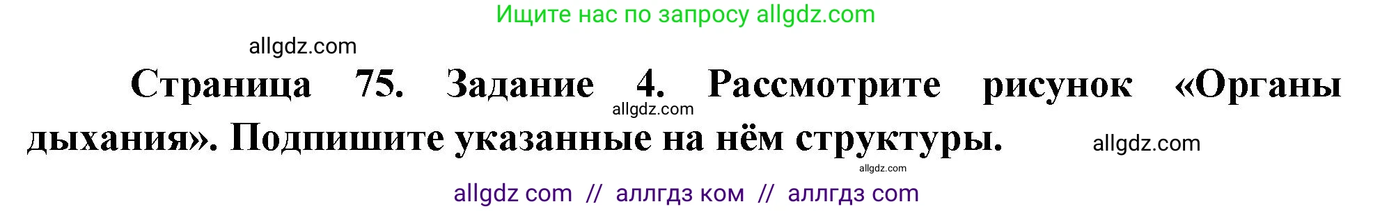 Биология, 9 класс рабочая тетрадь, авторы: Пасечник Владимир Васильевич, Швецов Глеб Геннадьевич, издательство Просвещение, Москва, 2023, розового цвета, страница 75, номер 4, Решение