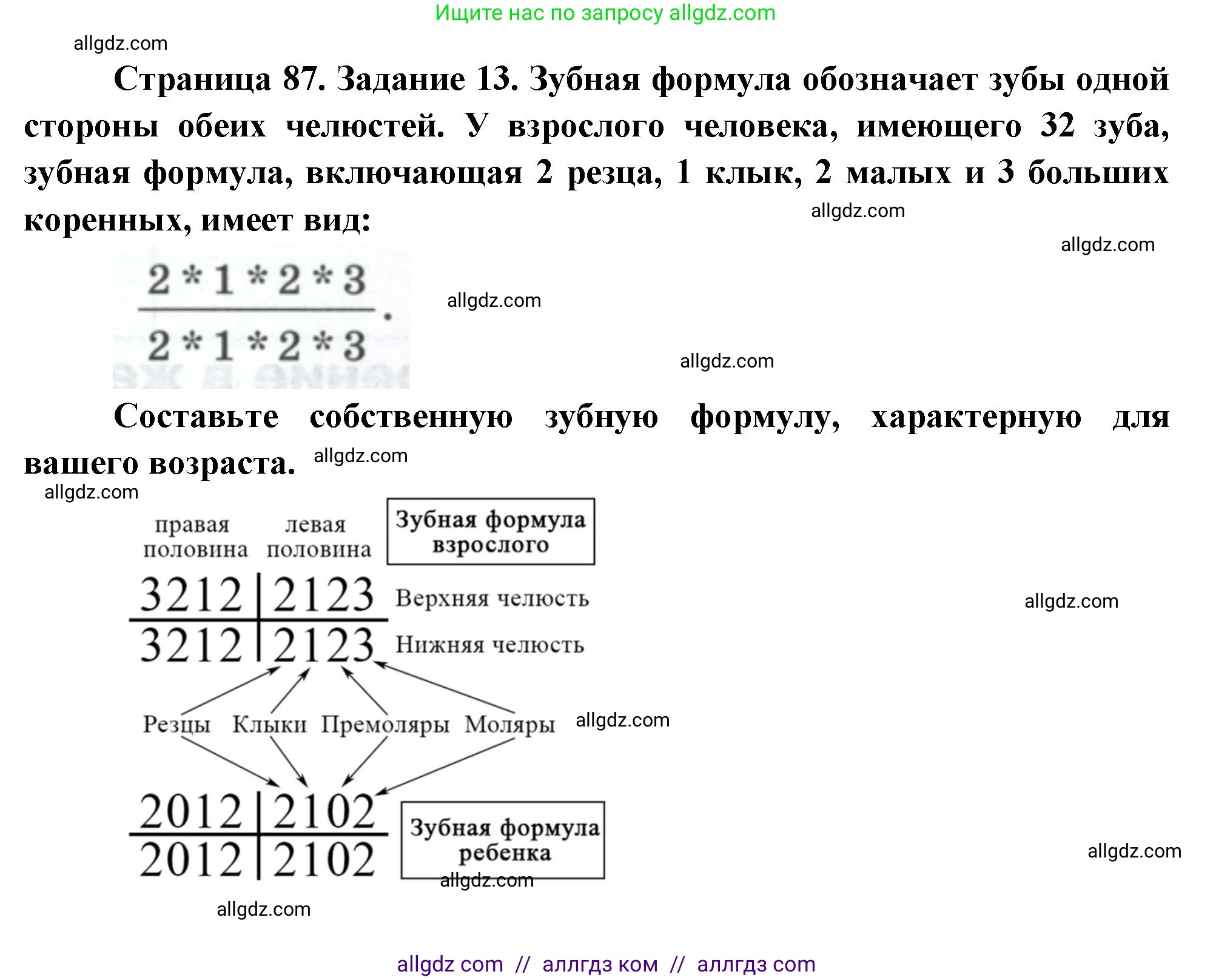 Биология, 9 класс рабочая тетрадь, авторы: Пасечник Владимир Васильевич, Швецов Глеб Геннадьевич, издательство Просвещение, Москва, 2023, розового цвета, страница 87, номер 13, Решение