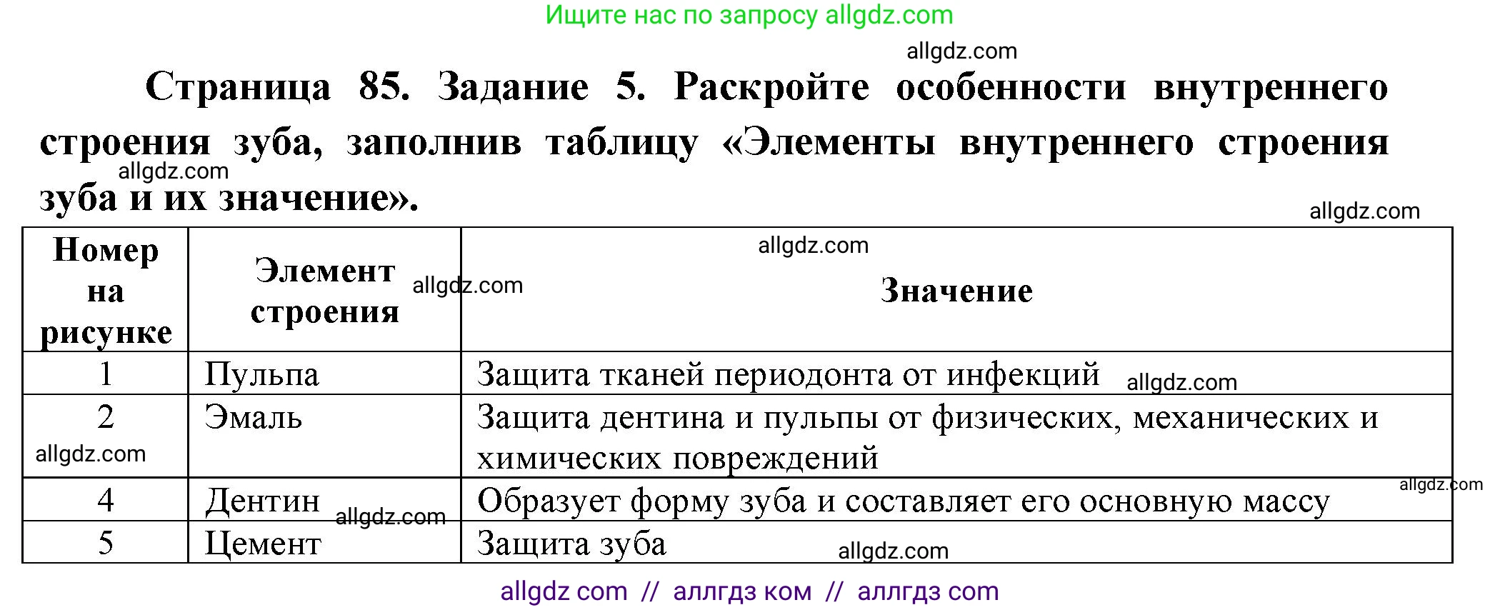 Биология, 9 класс рабочая тетрадь, авторы: Пасечник Владимир Васильевич, Швецов Глеб Геннадьевич, издательство Просвещение, Москва, 2023, розового цвета, страница 85, номер 5, Решение