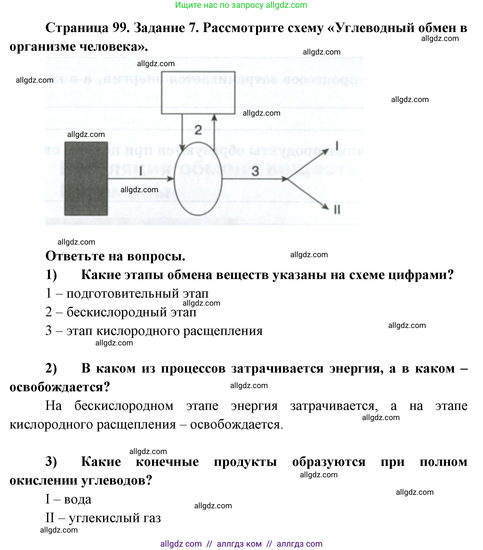 Биология, 9 класс рабочая тетрадь, авторы: Пасечник Владимир Васильевич, Швецов Глеб Геннадьевич, издательство Просвещение, Москва, 2023, розового цвета, страница 99, номер 7, Решение