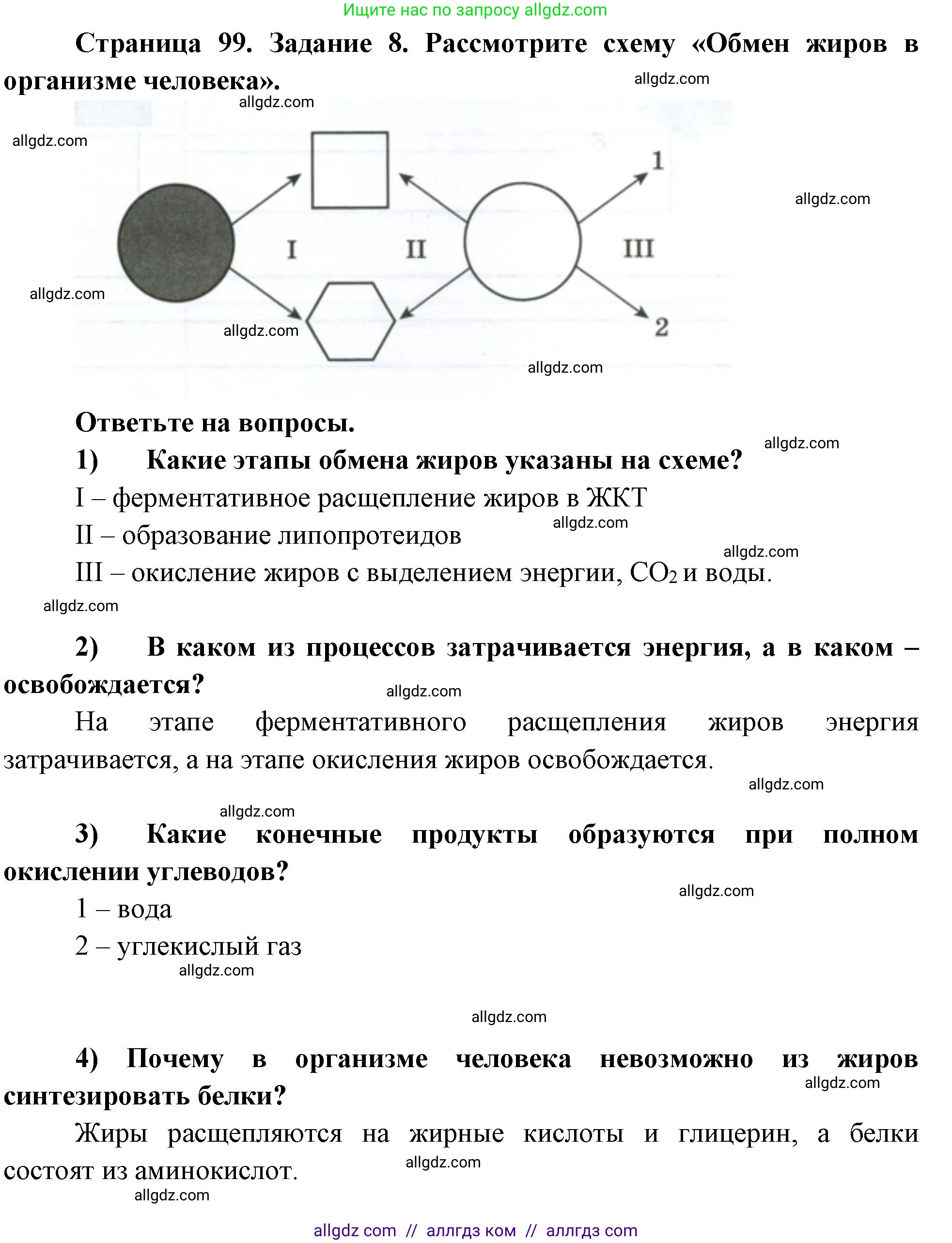 Биология, 9 класс рабочая тетрадь, авторы: Пасечник Владимир Васильевич, Швецов Глеб Геннадьевич, издательство Просвещение, Москва, 2023, розового цвета, страница 100, номер 8, Решение