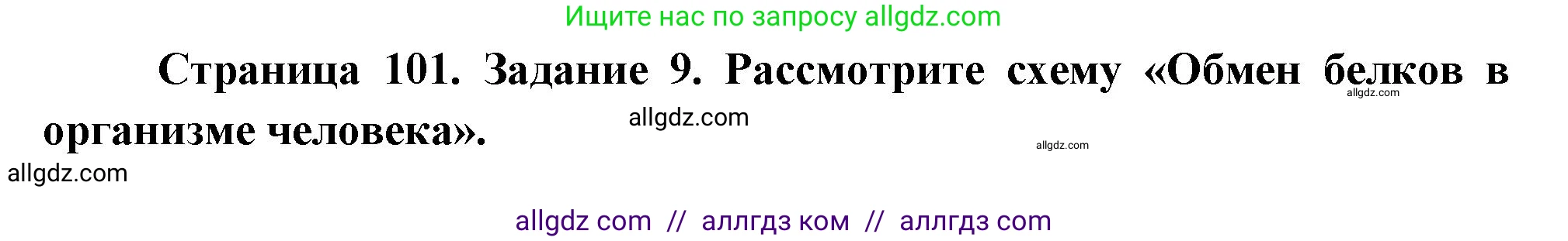Биология, 9 класс рабочая тетрадь, авторы: Пасечник Владимир Васильевич, Швецов Глеб Геннадьевич, издательство Просвещение, Москва, 2023, розового цвета, страница 101, номер 9, Решение