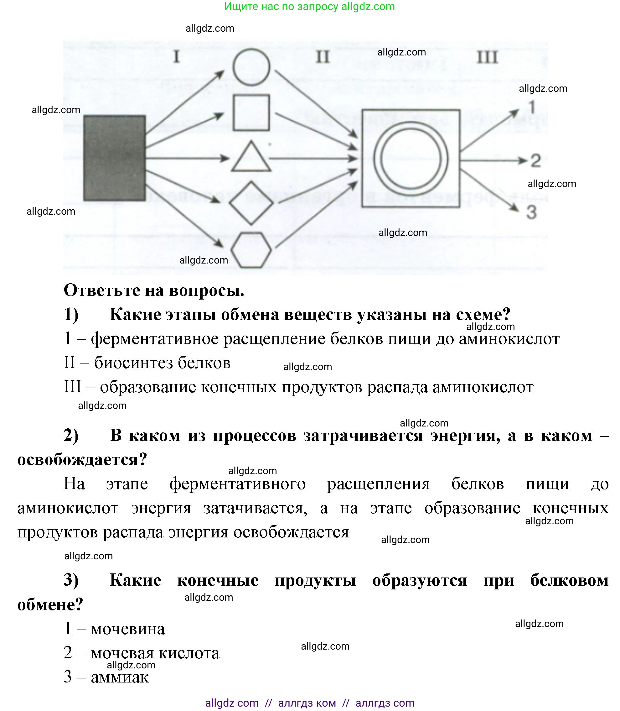 Биология, 9 класс рабочая тетрадь, авторы: Пасечник Владимир Васильевич, Швецов Глеб Геннадьевич, издательство Просвещение, Москва, 2023, розового цвета, страница 101, номер 9, Решение (продолжение 2)