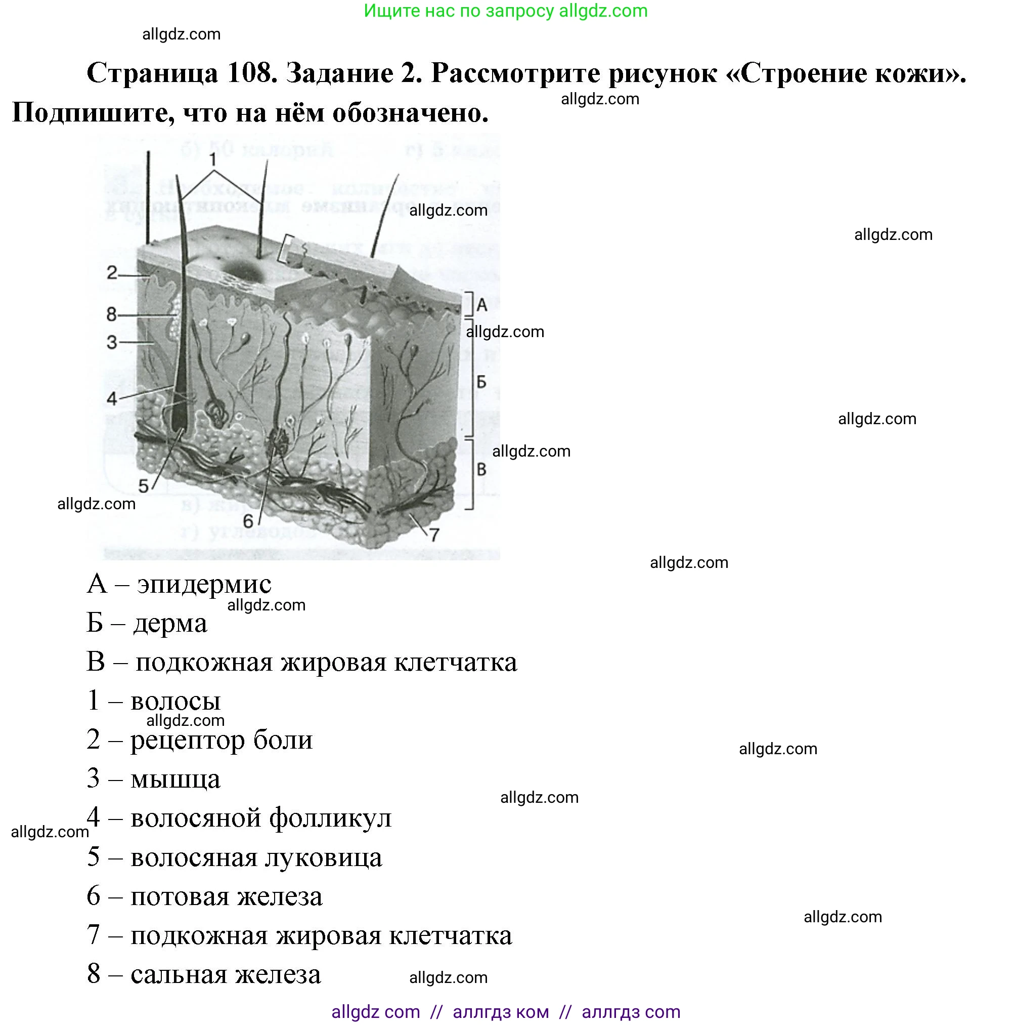 Биология, 9 класс рабочая тетрадь, авторы: Пасечник Владимир Васильевич, Швецов Глеб Геннадьевич, издательство Просвещение, Москва, 2023, розового цвета, страница 108, номер 2, Решение