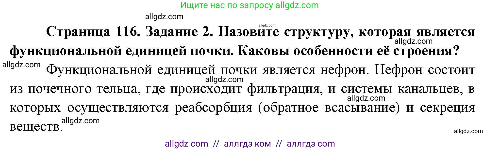 Биология, 9 класс рабочая тетрадь, авторы: Пасечник Владимир Васильевич, Швецов Глеб Геннадьевич, издательство Просвещение, Москва, 2023, розового цвета, страница 116, номер 2, Решение