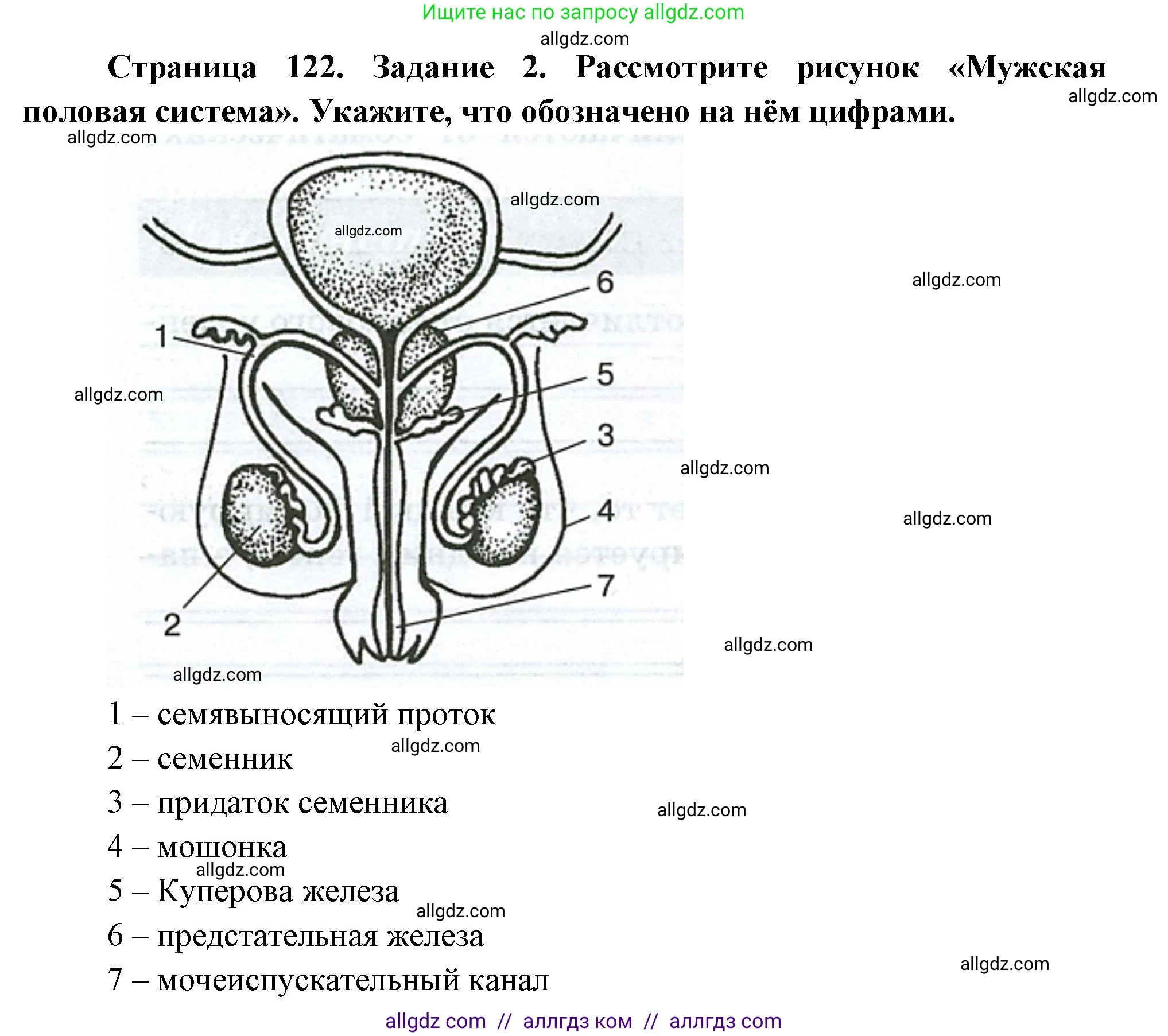 Биология, 9 класс рабочая тетрадь, авторы: Пасечник Владимир Васильевич, Швецов Глеб Геннадьевич, издательство Просвещение, Москва, 2023, розового цвета, страница 122, номер 2, Решение