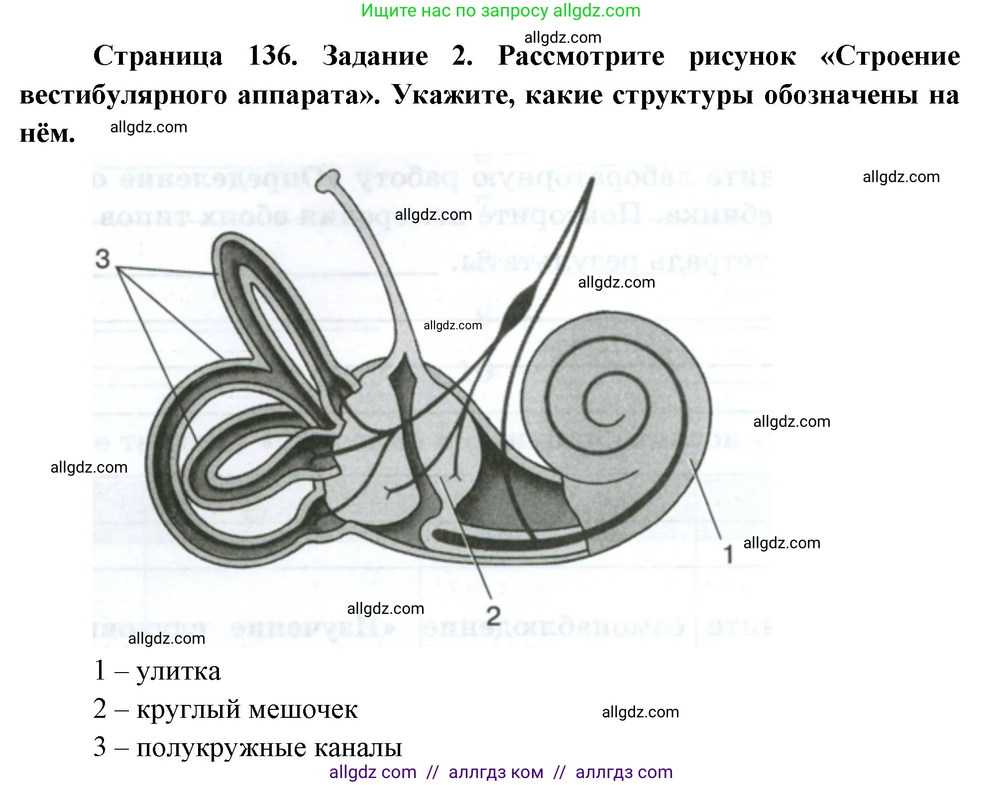 Биология, 9 класс рабочая тетрадь, авторы: Пасечник Владимир Васильевич, Швецов Глеб Геннадьевич, издательство Просвещение, Москва, 2023, розового цвета, страница 136, номер 2, Решение