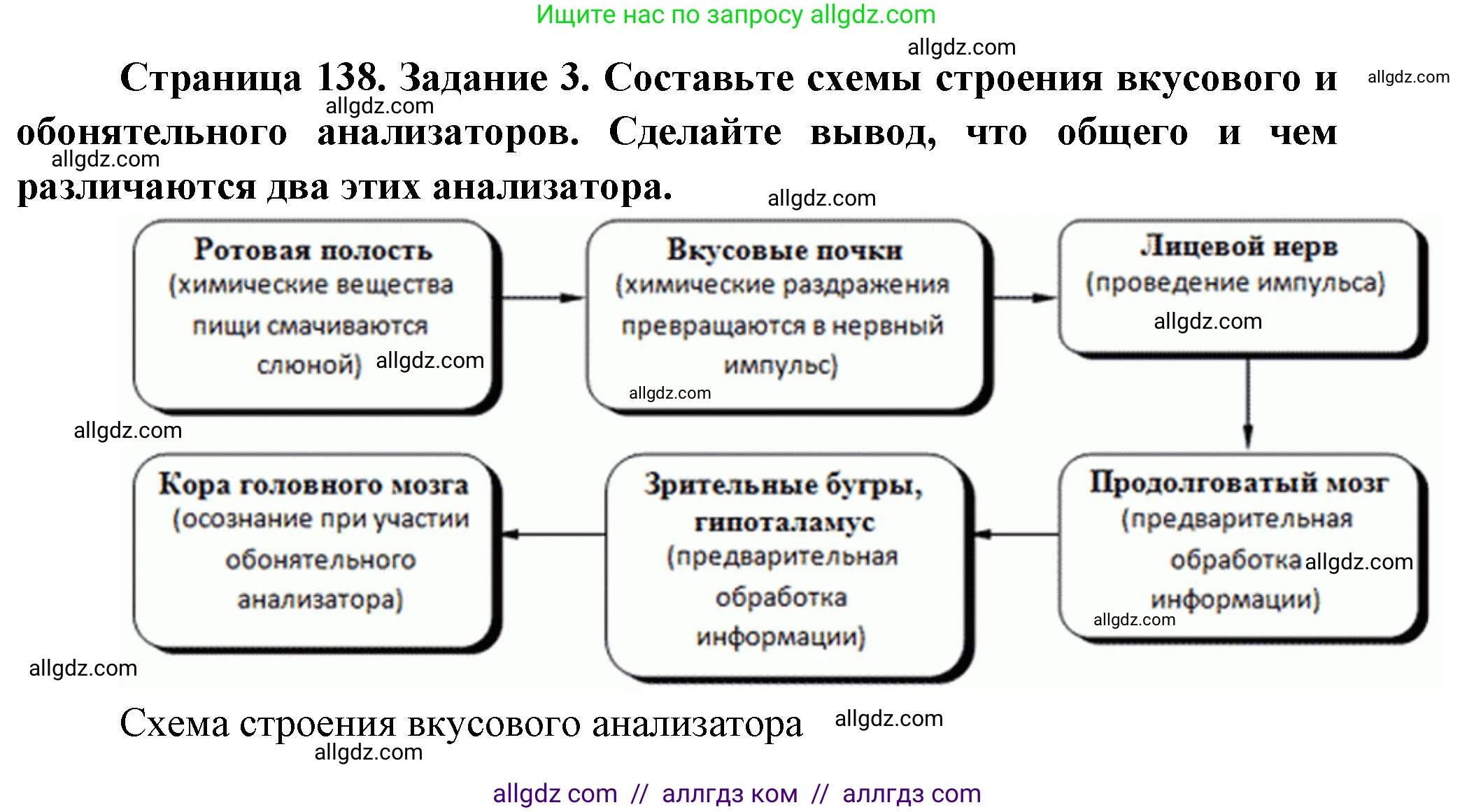 Биология, 9 класс рабочая тетрадь, авторы: Пасечник Владимир Васильевич, Швецов Глеб Геннадьевич, издательство Просвещение, Москва, 2023, розового цвета, страница 138, номер 3, Решение