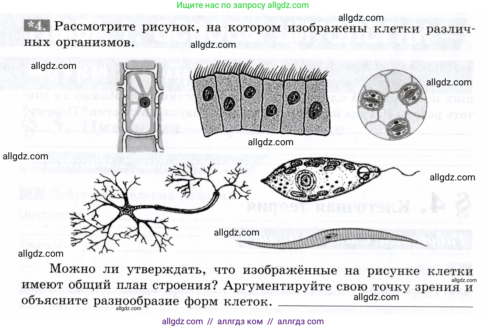 Биология, 9 класс рабочая тетрадь, авторы: Пасечник Владимир Васильевич, Швецов Глеб Геннадьевич, издательство Просвещение, Москва, 2019, страница 14, номер 4, Условие