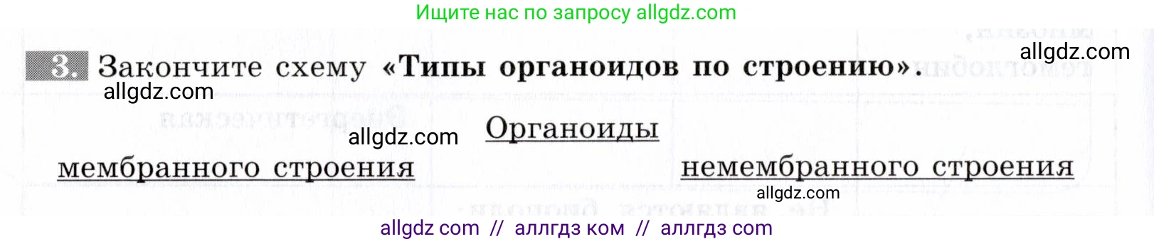 Биология, 9 класс рабочая тетрадь, авторы: Пасечник Владимир Васильевич, Швецов Глеб Геннадьевич, издательство Просвещение, Москва, 2019, страница 18, номер 3, Условие