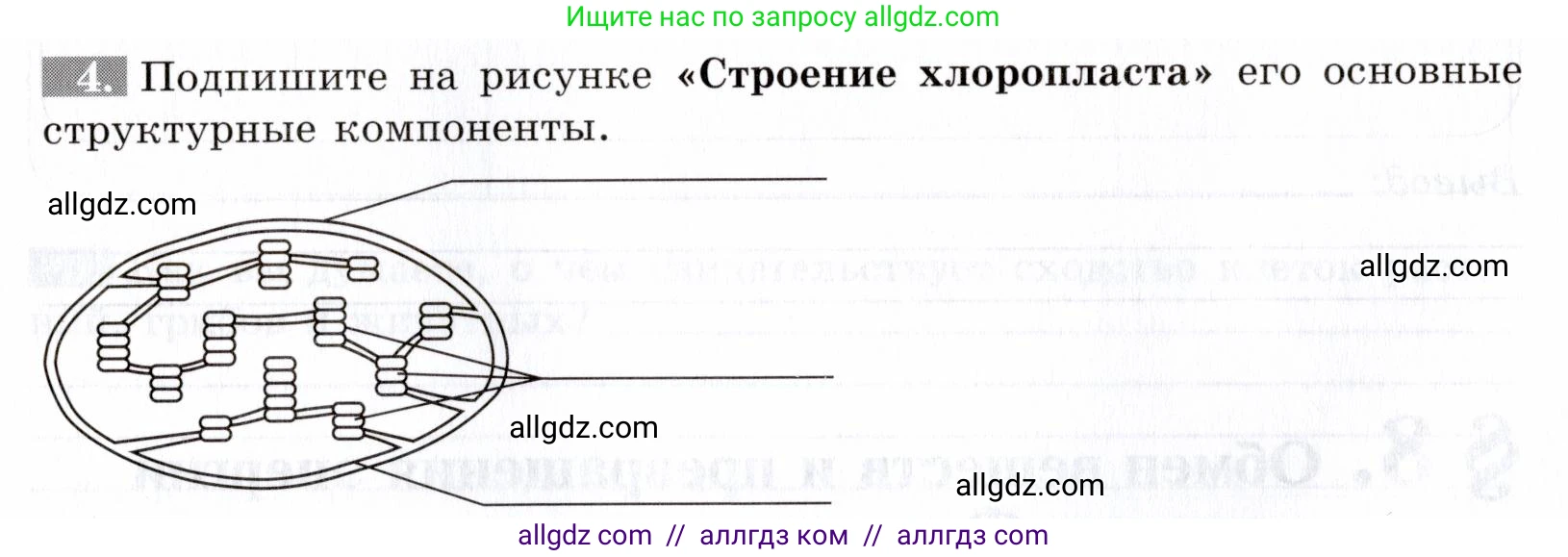 Биология, 9 класс рабочая тетрадь, авторы: Пасечник Владимир Васильевич, Швецов Глеб Геннадьевич, издательство Просвещение, Москва, 2019, страница 22, номер 4, Условие