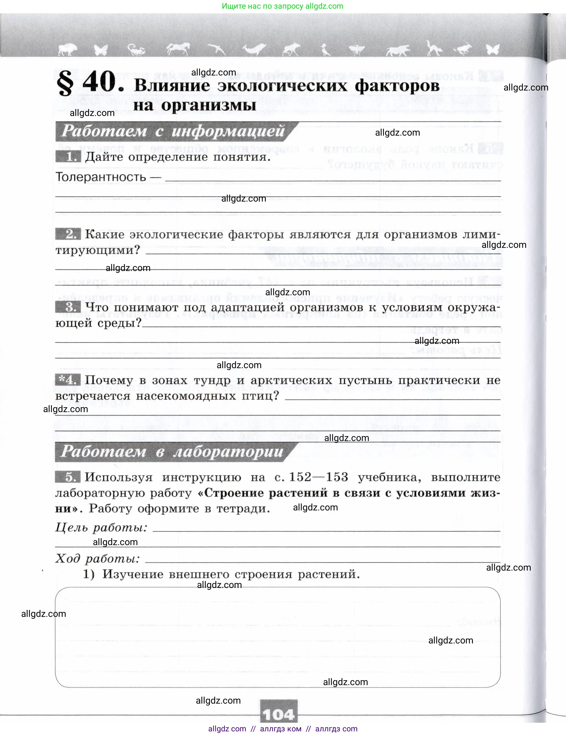Биология, 9 класс рабочая тетрадь, авторы: Пасечник Владимир Васильевич, Швецов Глеб Геннадьевич, издательство Просвещение, Москва, 2019, страница 104