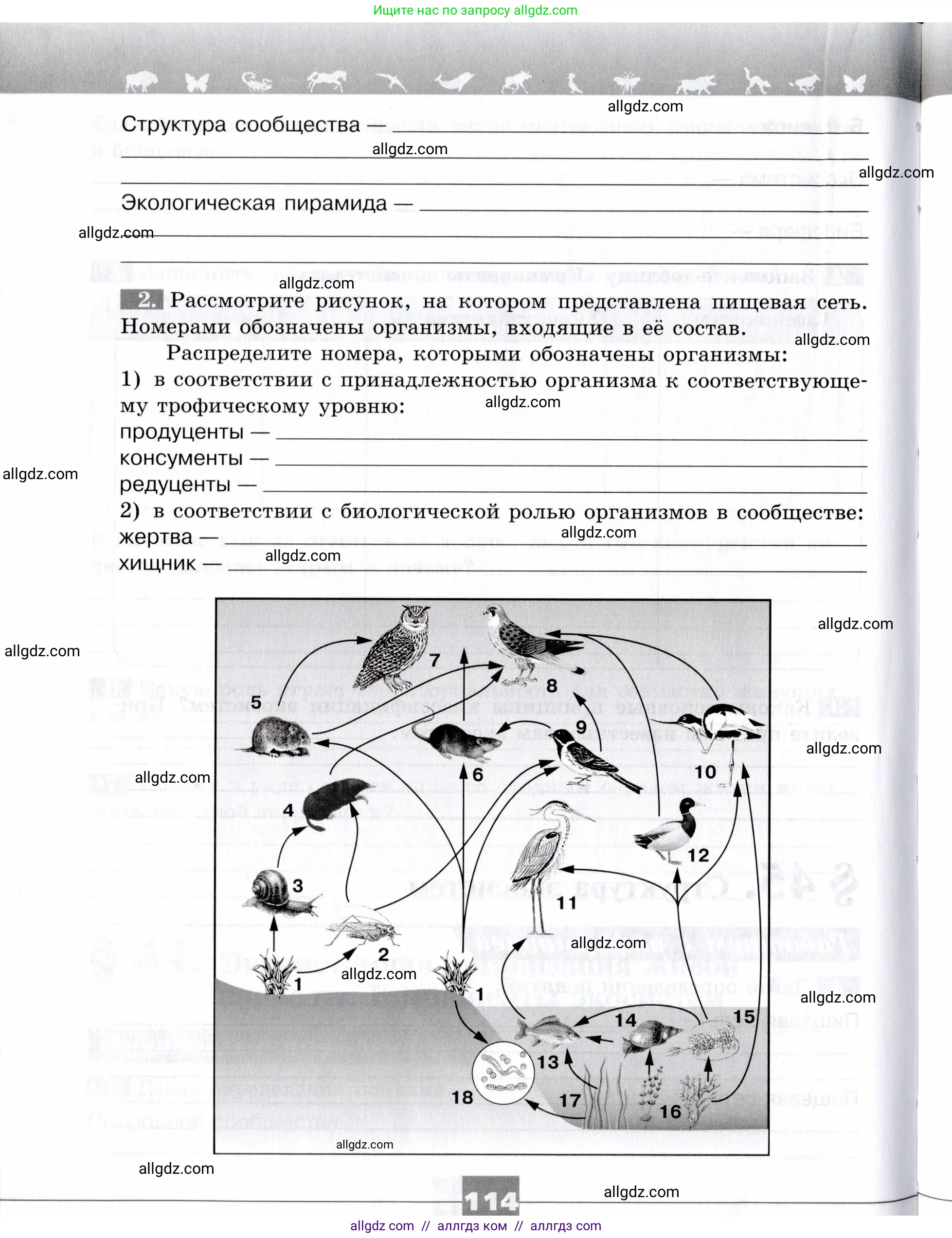 Биология, 9 класс рабочая тетрадь, авторы: Пасечник Владимир Васильевич, Швецов Глеб Геннадьевич, издательство Просвещение, Москва, 2019, страница 114