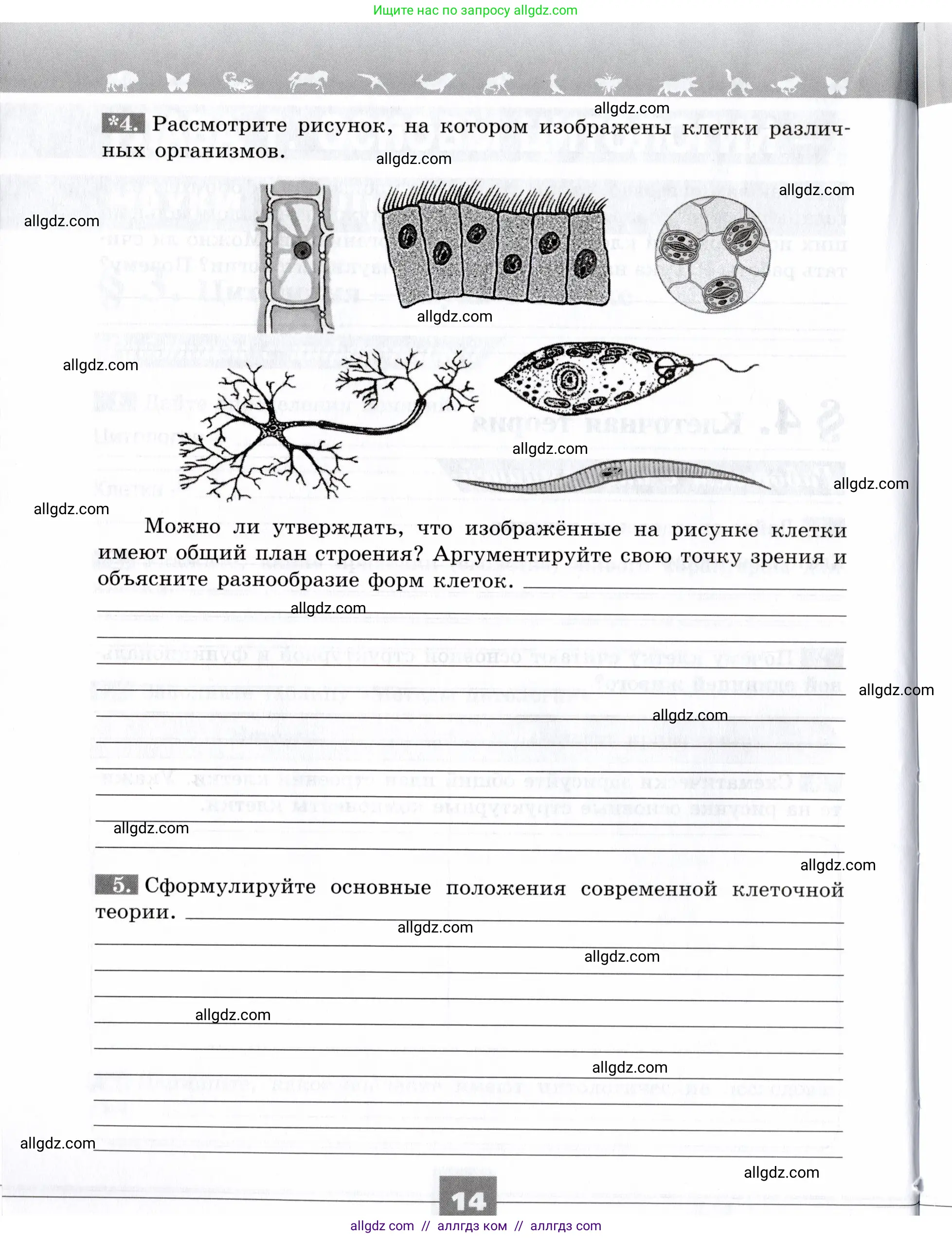 Биология, 9 класс рабочая тетрадь, авторы: Пасечник Владимир Васильевич, Швецов Глеб Геннадьевич, издательство Просвещение, Москва, 2019, страница 14