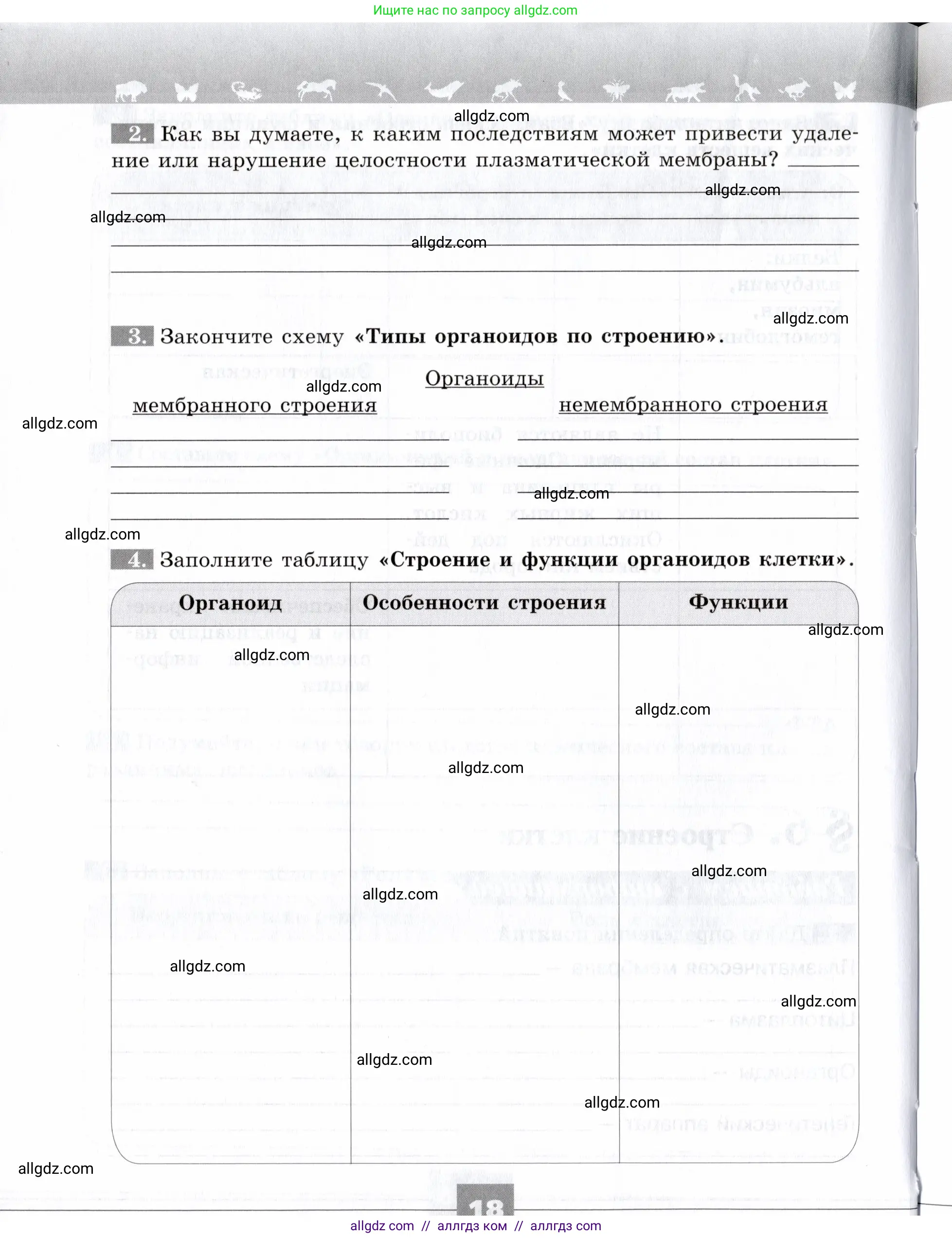 Биология, 9 класс рабочая тетрадь, авторы: Пасечник Владимир Васильевич, Швецов Глеб Геннадьевич, издательство Просвещение, Москва, 2019, страница 18
