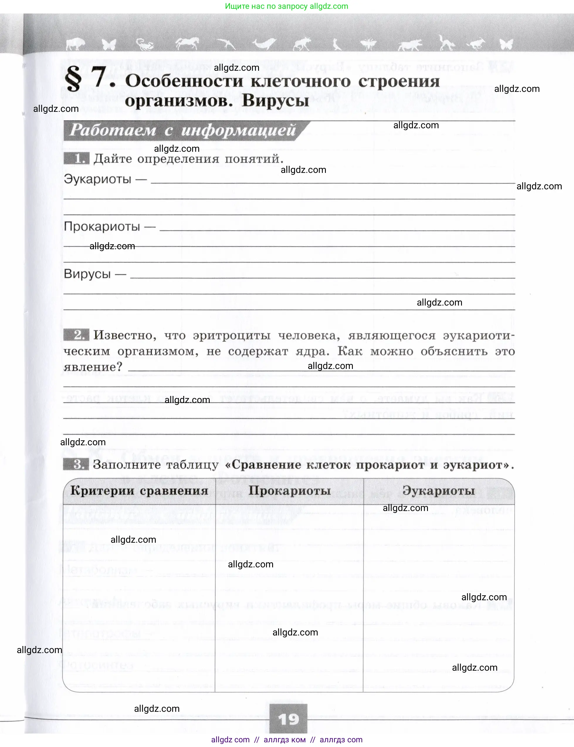 Биология, 9 класс рабочая тетрадь, авторы: Пасечник Владимир Васильевич, Швецов Глеб Геннадьевич, издательство Просвещение, Москва, 2019, страница 19