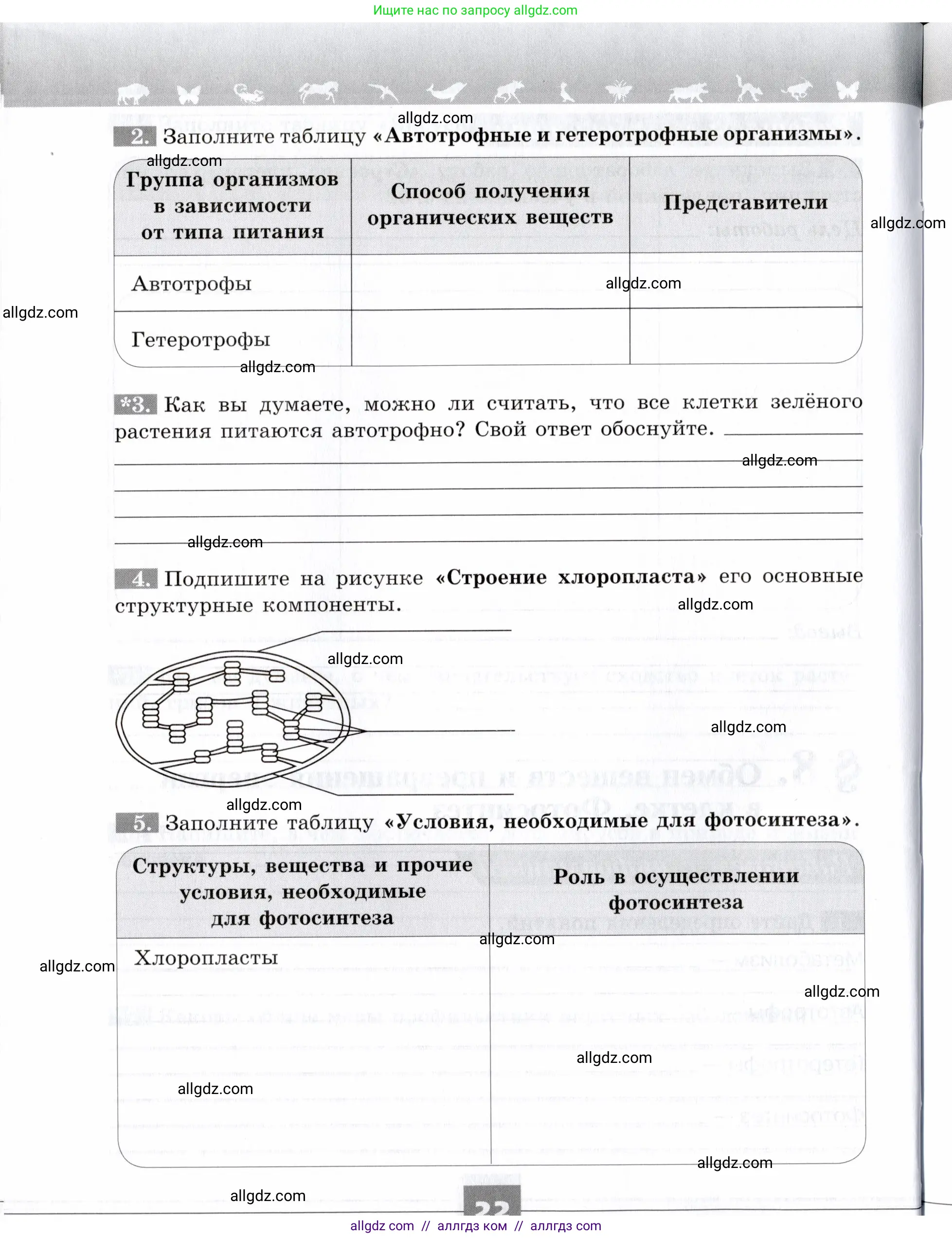 Биология, 9 класс рабочая тетрадь, авторы: Пасечник Владимир Васильевич, Швецов Глеб Геннадьевич, издательство Просвещение, Москва, 2019, страница 22