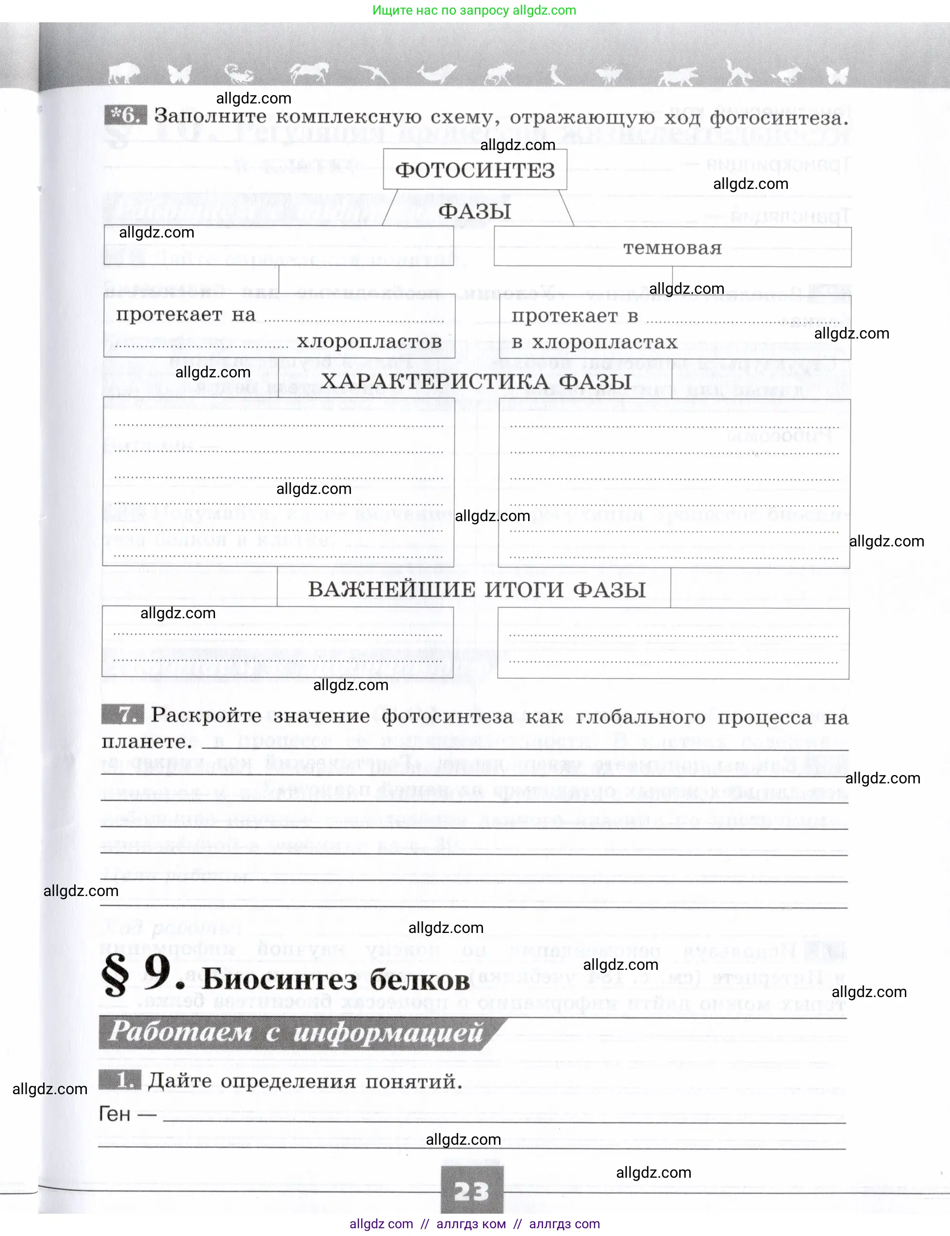 Биология, 9 класс рабочая тетрадь, авторы: Пасечник Владимир Васильевич, Швецов Глеб Геннадьевич, издательство Просвещение, Москва, 2019, страница 23