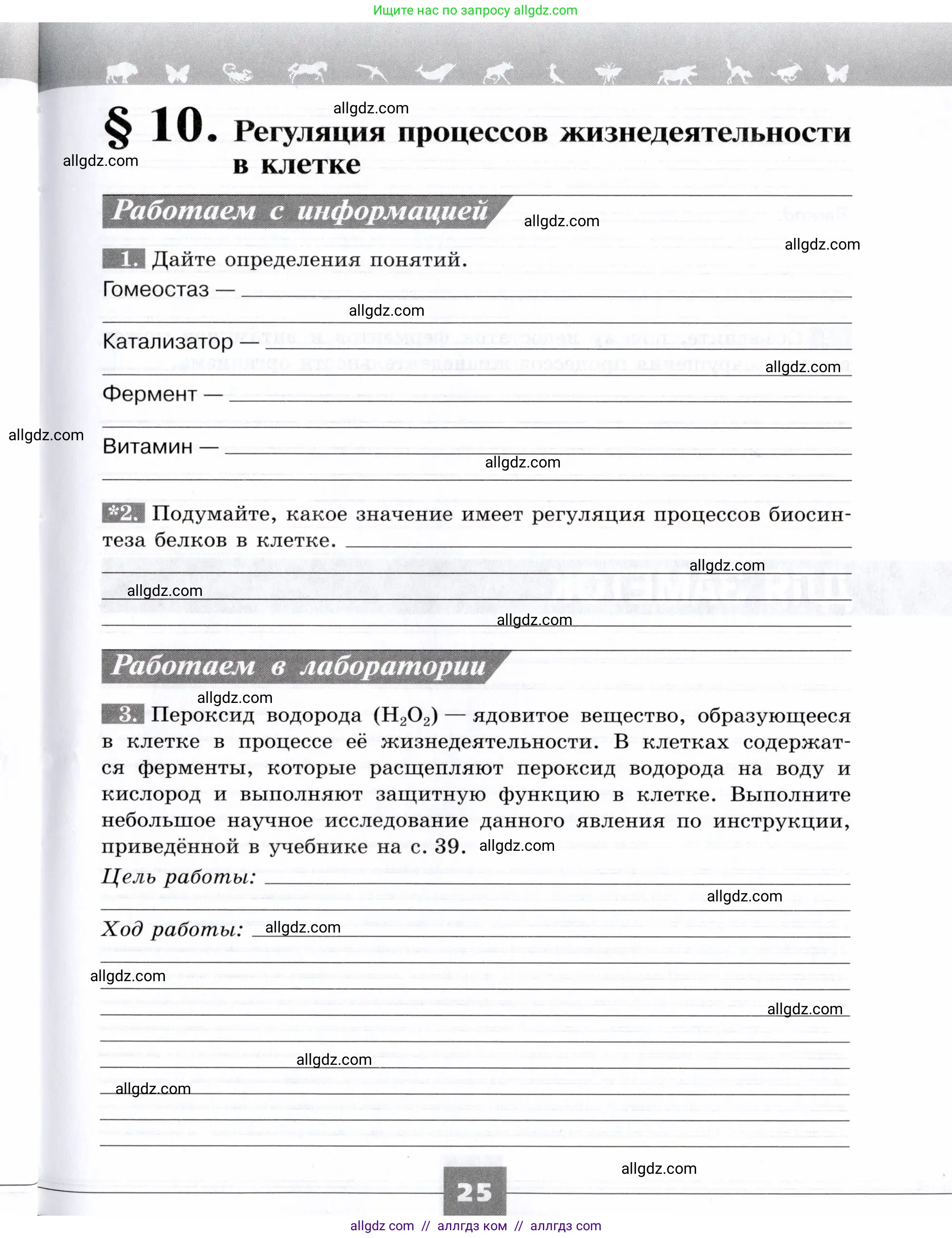 Биология, 9 класс рабочая тетрадь, авторы: Пасечник Владимир Васильевич, Швецов Глеб Геннадьевич, издательство Просвещение, Москва, 2019, страница 25