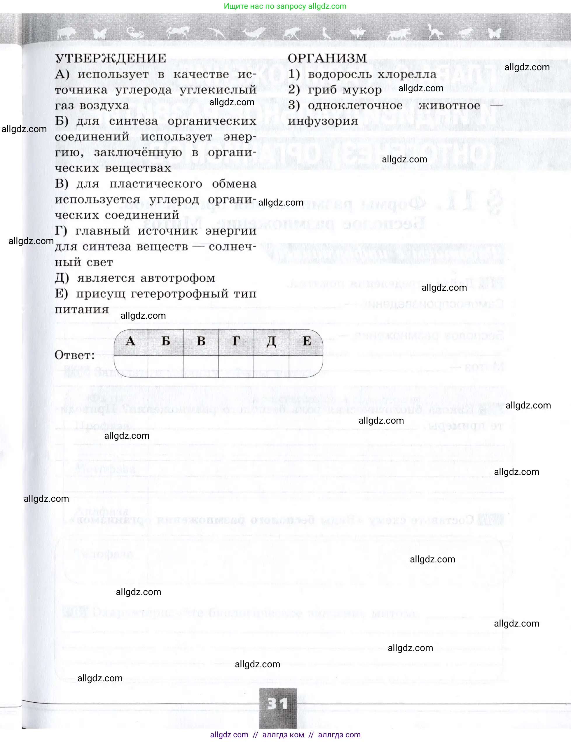 Биология, 9 класс рабочая тетрадь, авторы: Пасечник Владимир Васильевич, Швецов Глеб Геннадьевич, издательство Просвещение, Москва, 2019, страница 31