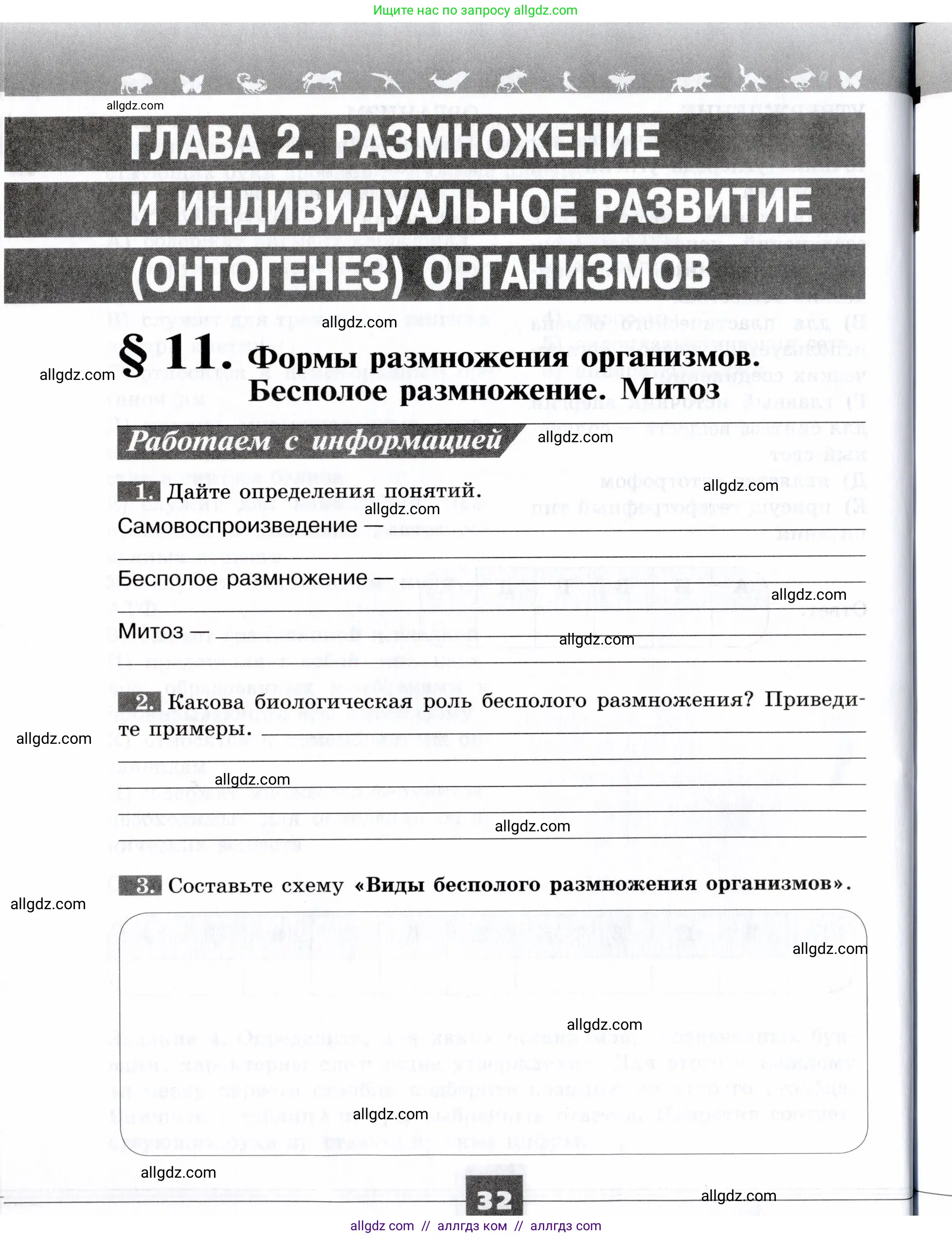 Биология, 9 класс рабочая тетрадь, авторы: Пасечник Владимир Васильевич, Швецов Глеб Геннадьевич, издательство Просвещение, Москва, 2019, страница 32