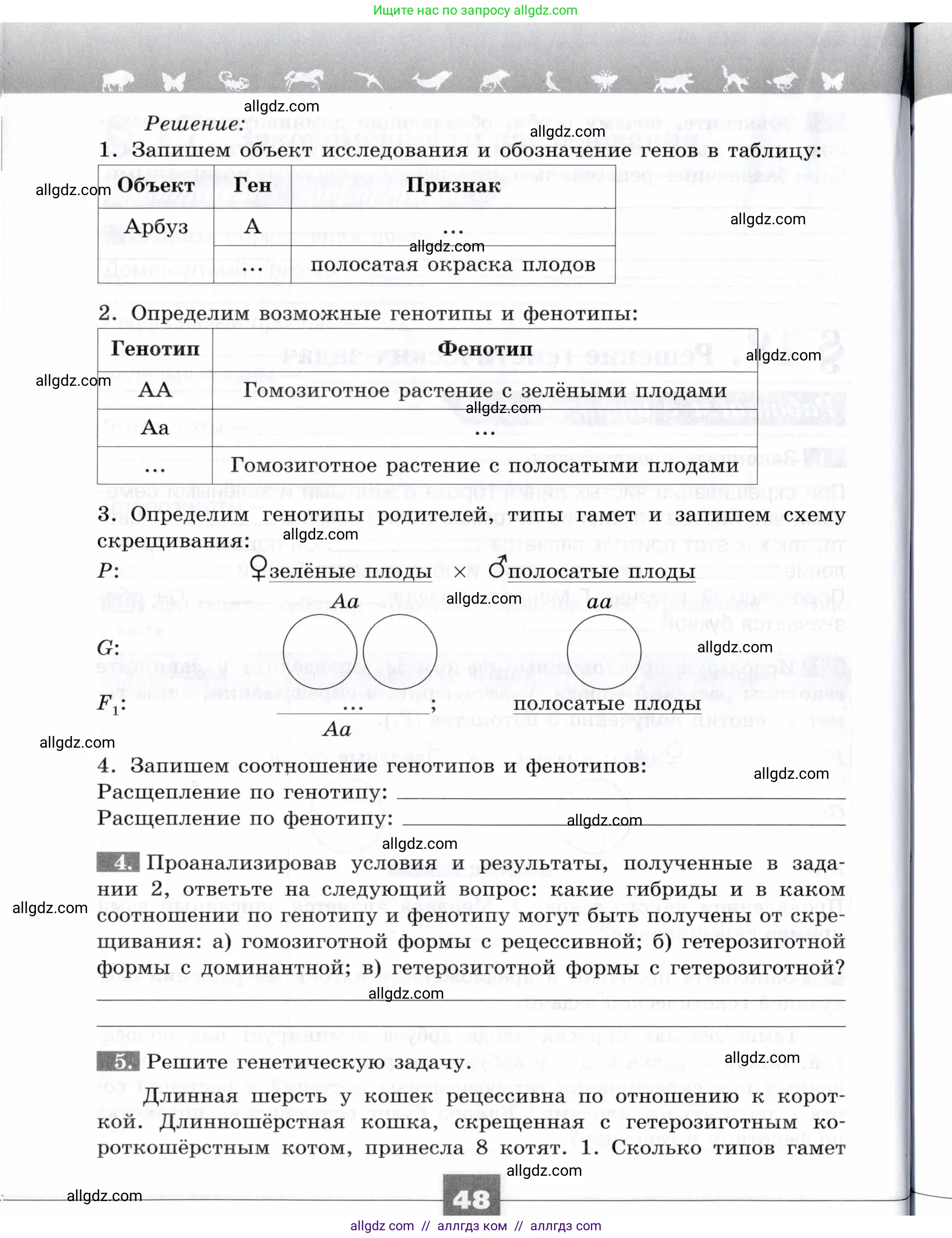 Биология, 9 класс рабочая тетрадь, авторы: Пасечник Владимир Васильевич, Швецов Глеб Геннадьевич, издательство Просвещение, Москва, 2019, страница 48