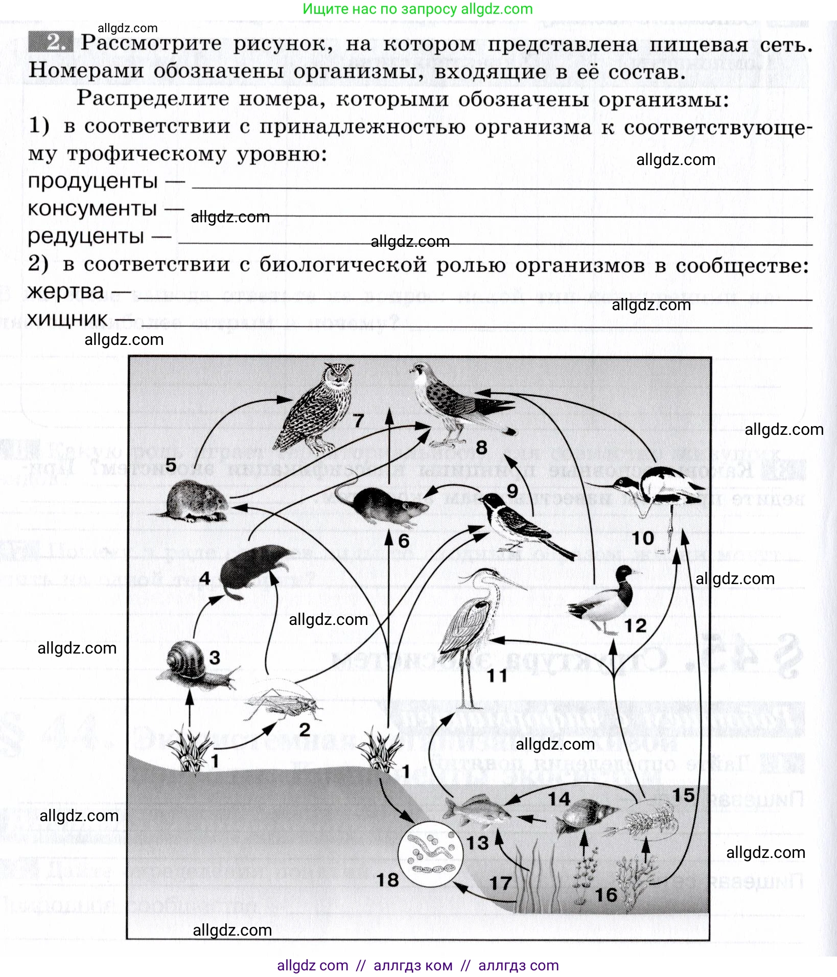 Биология, 9 класс рабочая тетрадь, авторы: Пасечник Владимир Васильевич, Швецов Глеб Геннадьевич, издательство Просвещение, Москва, 2019, страница 114, номер 2, Условие
