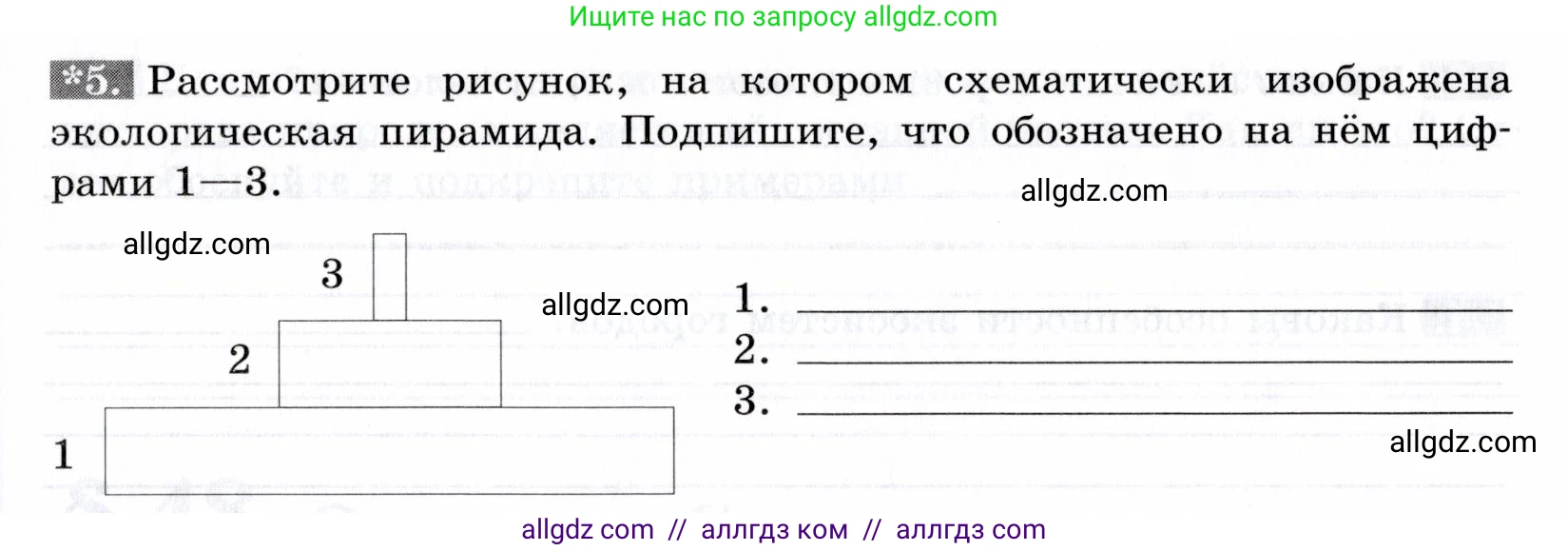 Биология, 9 класс рабочая тетрадь, авторы: Пасечник Владимир Васильевич, Швецов Глеб Геннадьевич, издательство Просвещение, Москва, 2019, страница 117, номер 5, Условие