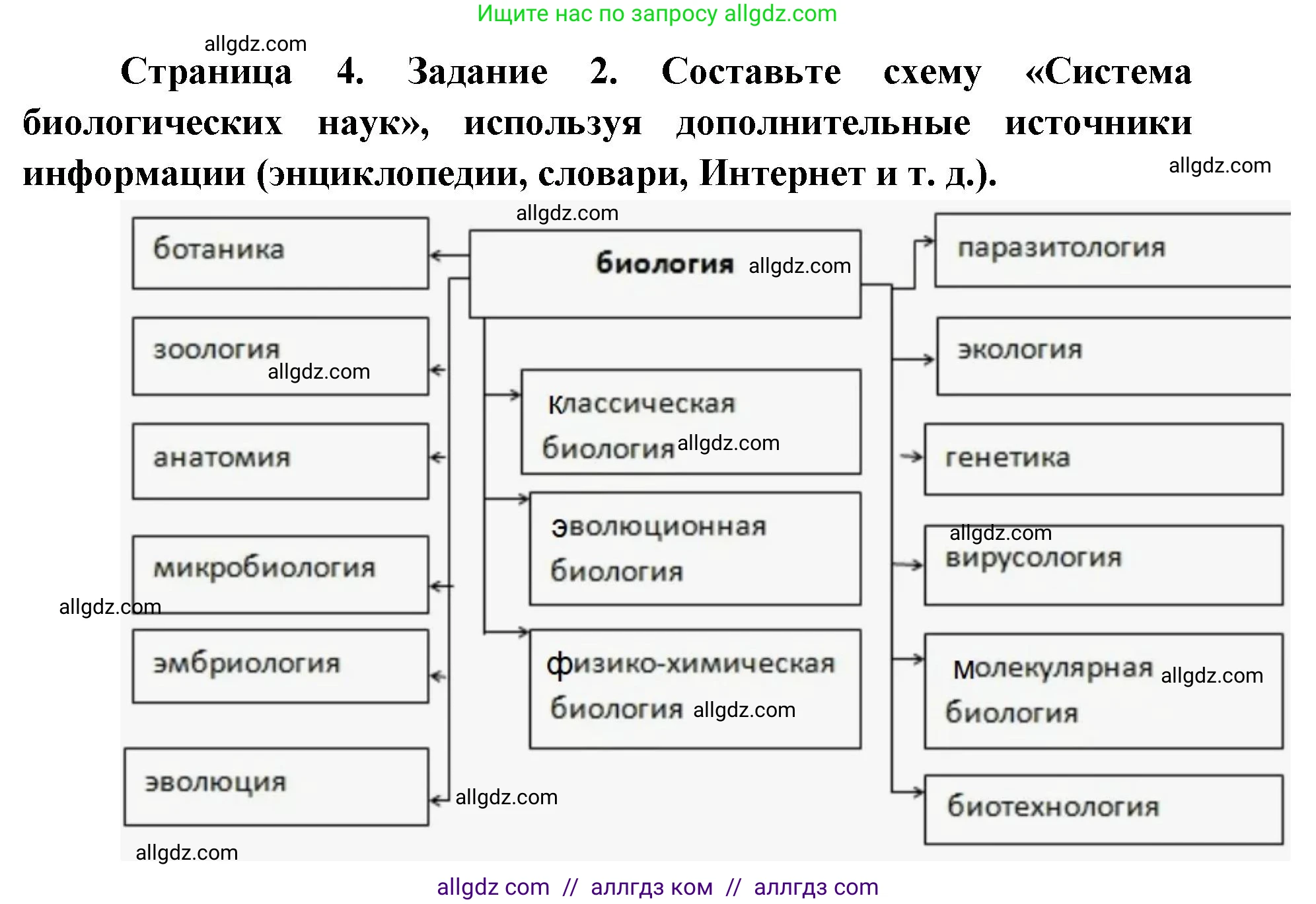 Биология, 9 класс рабочая тетрадь, авторы: Пасечник Владимир Васильевич, Швецов Глеб Геннадьевич, издательство Просвещение, Москва, 2019, страница 4, номер 2, Решение