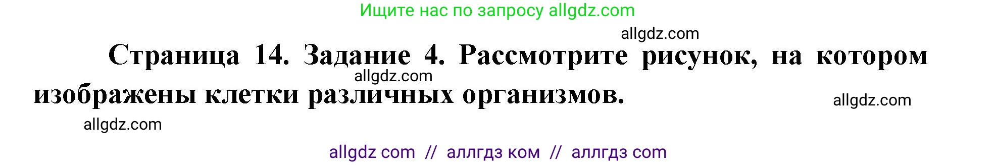 Биология, 9 класс рабочая тетрадь, авторы: Пасечник Владимир Васильевич, Швецов Глеб Геннадьевич, издательство Просвещение, Москва, 2019, страница 14, номер 4, Решение