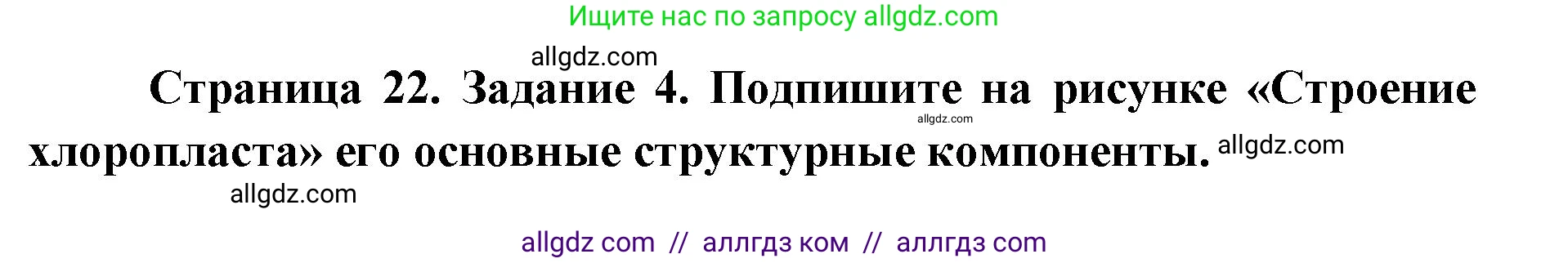 Биология, 9 класс рабочая тетрадь, авторы: Пасечник Владимир Васильевич, Швецов Глеб Геннадьевич, издательство Просвещение, Москва, 2019, страница 22, номер 4, Решение