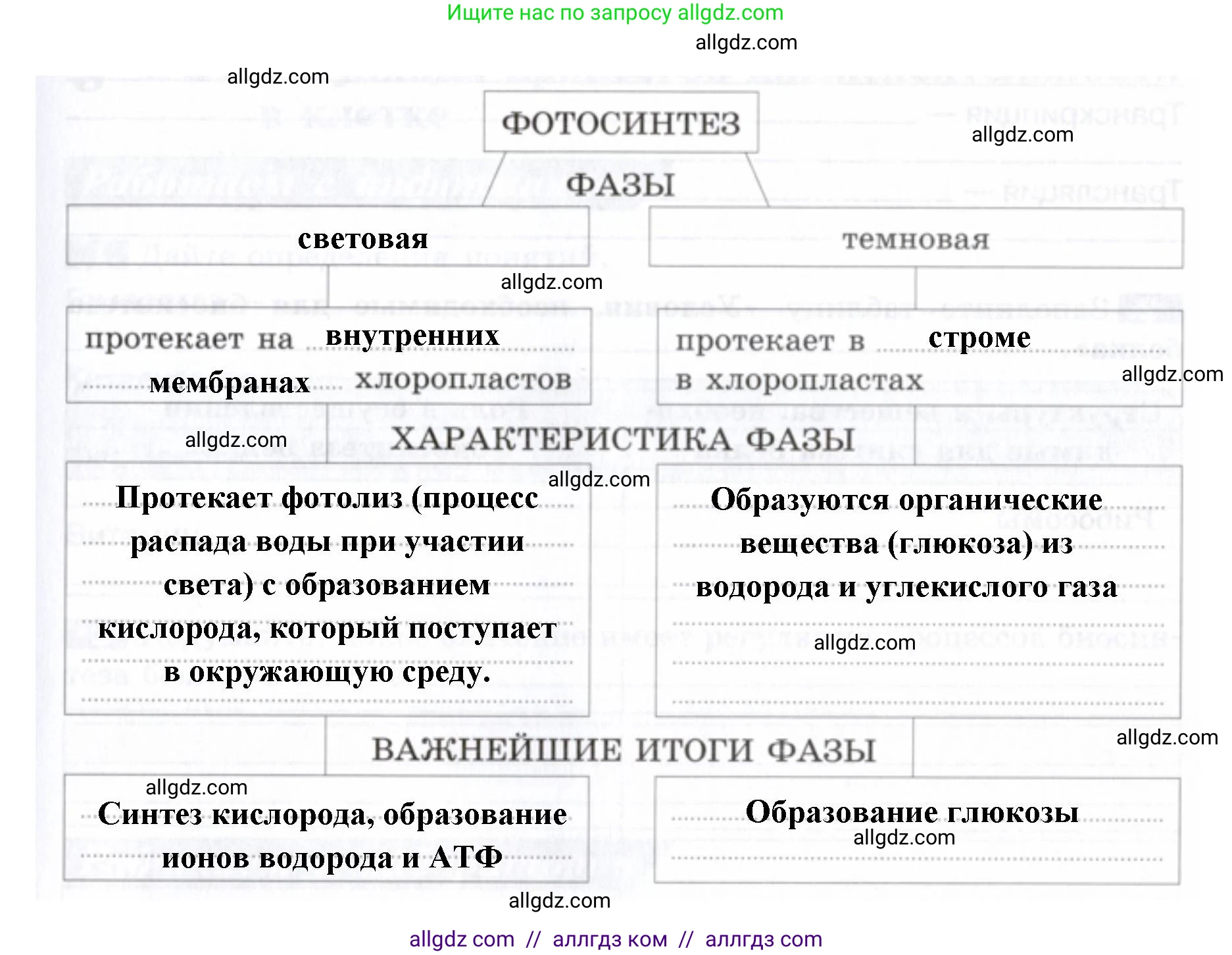 Биология, 9 класс рабочая тетрадь, авторы: Пасечник Владимир Васильевич, Швецов Глеб Геннадьевич, издательство Просвещение, Москва, 2019, страница 23, номер 6, Решение (продолжение 2)