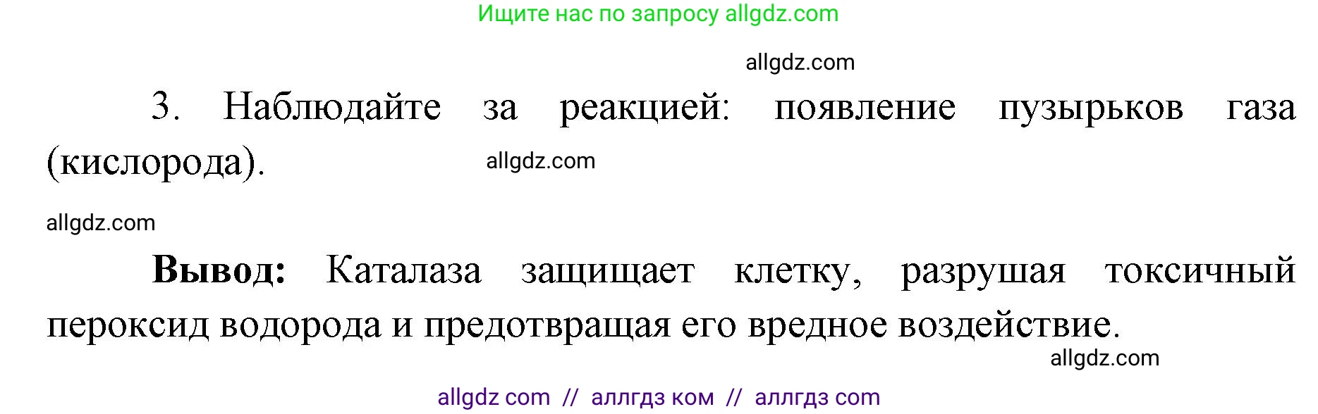 Биология, 9 класс рабочая тетрадь, авторы: Пасечник Владимир Васильевич, Швецов Глеб Геннадьевич, издательство Просвещение, Москва, 2019, страница 25, номер 3, Решение (продолжение 2)