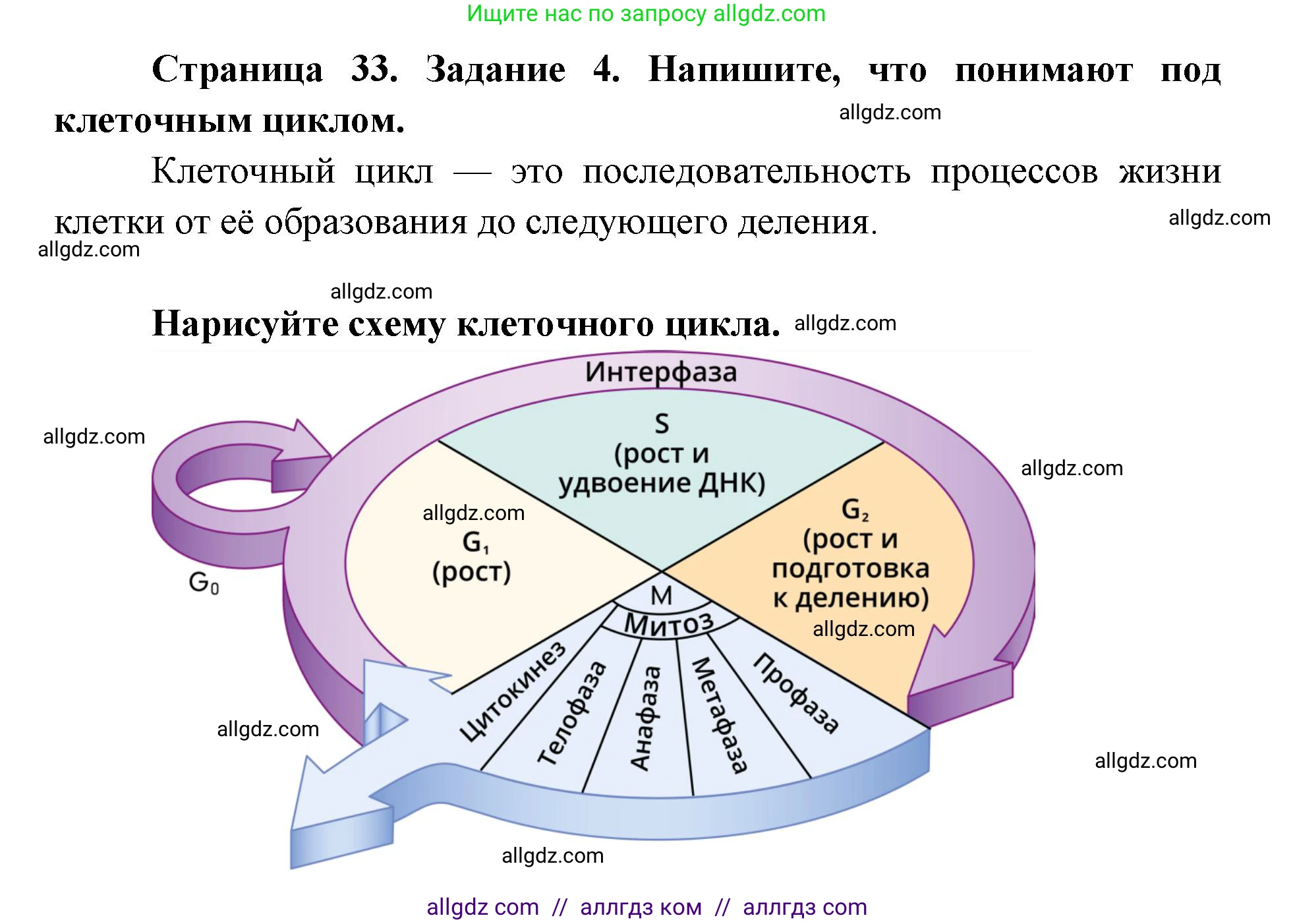 Биология, 9 класс рабочая тетрадь, авторы: Пасечник Владимир Васильевич, Швецов Глеб Геннадьевич, издательство Просвещение, Москва, 2019, страница 33, номер 4, Решение