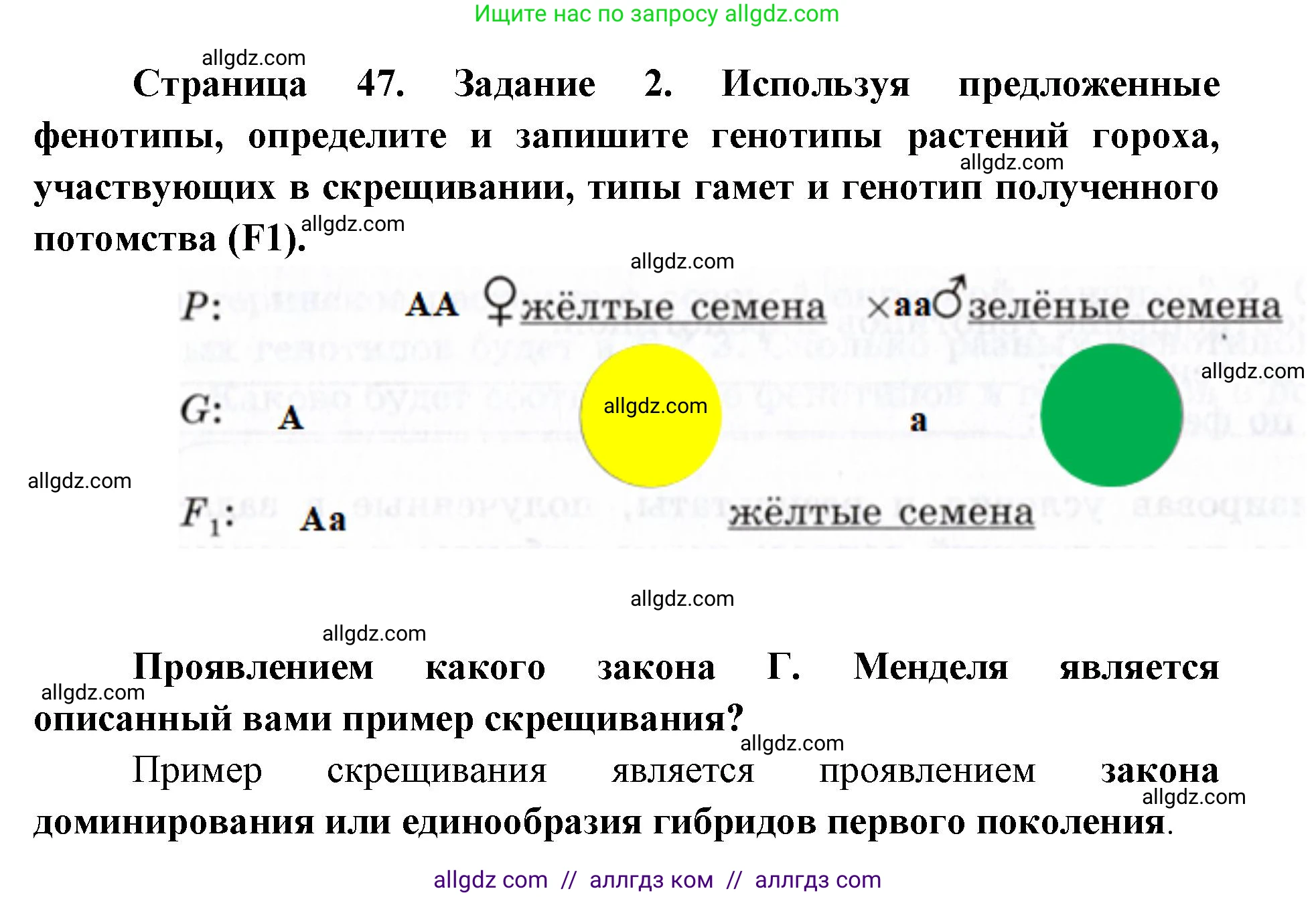 Биология, 9 класс рабочая тетрадь, авторы: Пасечник Владимир Васильевич, Швецов Глеб Геннадьевич, издательство Просвещение, Москва, 2019, страница 47, номер 2, Решение