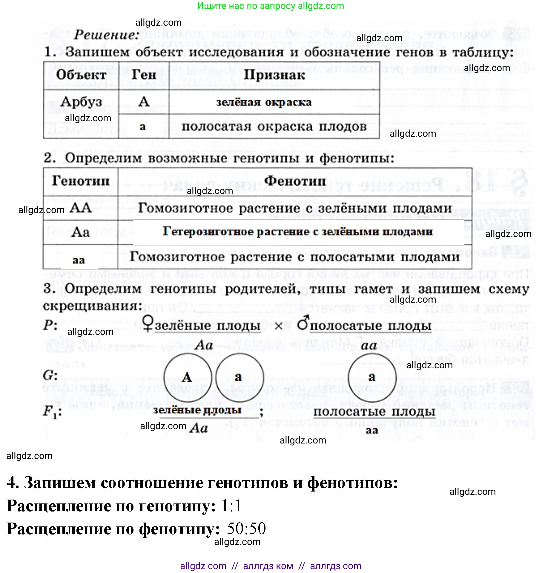 Биология, 9 класс рабочая тетрадь, авторы: Пасечник Владимир Васильевич, Швецов Глеб Геннадьевич, издательство Просвещение, Москва, 2019, страница 47, номер 3, Решение (продолжение 2)