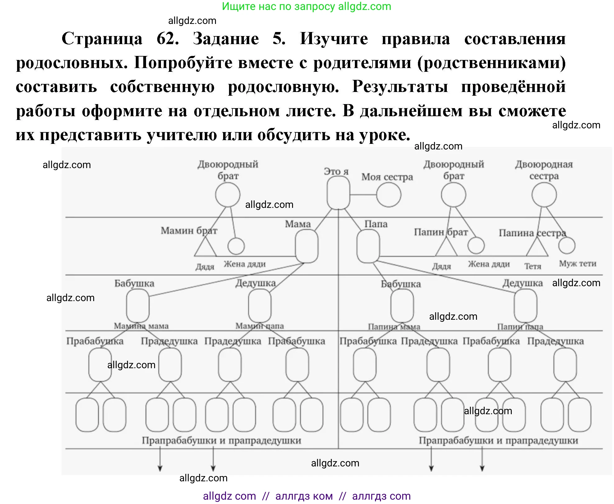 Биология, 9 класс рабочая тетрадь, авторы: Пасечник Владимир Васильевич, Швецов Глеб Геннадьевич, издательство Просвещение, Москва, 2019, страница 62, номер 5, Решение