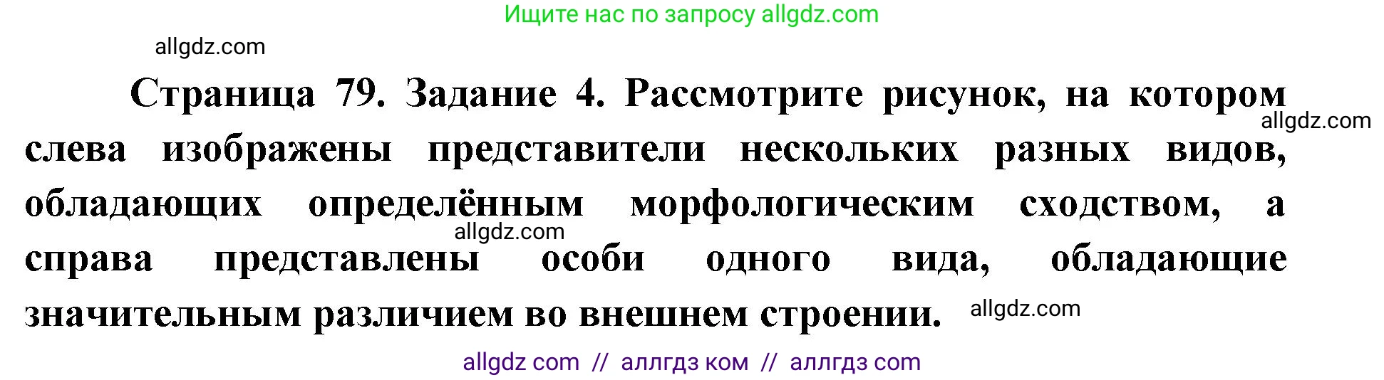 Биология, 9 класс рабочая тетрадь, авторы: Пасечник Владимир Васильевич, Швецов Глеб Геннадьевич, издательство Просвещение, Москва, 2019, страница 79, номер 4, Решение