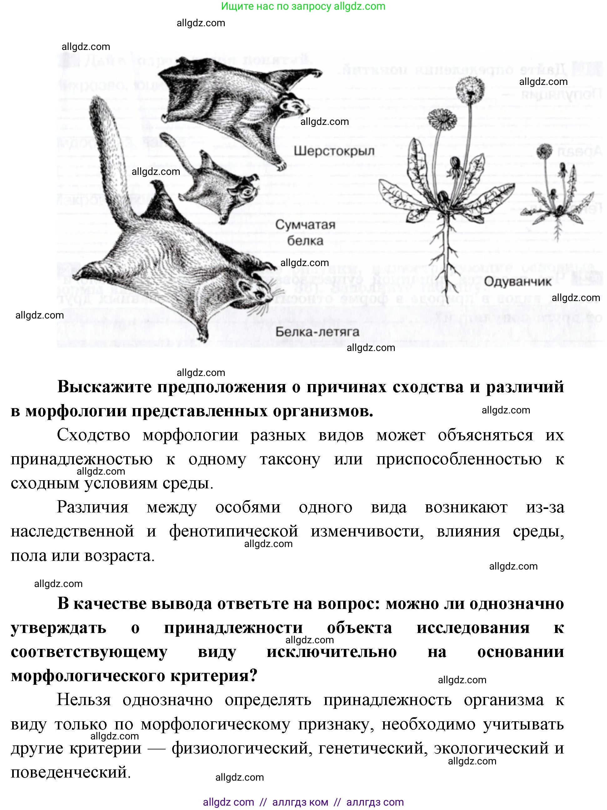 Биология, 9 класс рабочая тетрадь, авторы: Пасечник Владимир Васильевич, Швецов Глеб Геннадьевич, издательство Просвещение, Москва, 2019, страница 79, номер 4, Решение (продолжение 2)