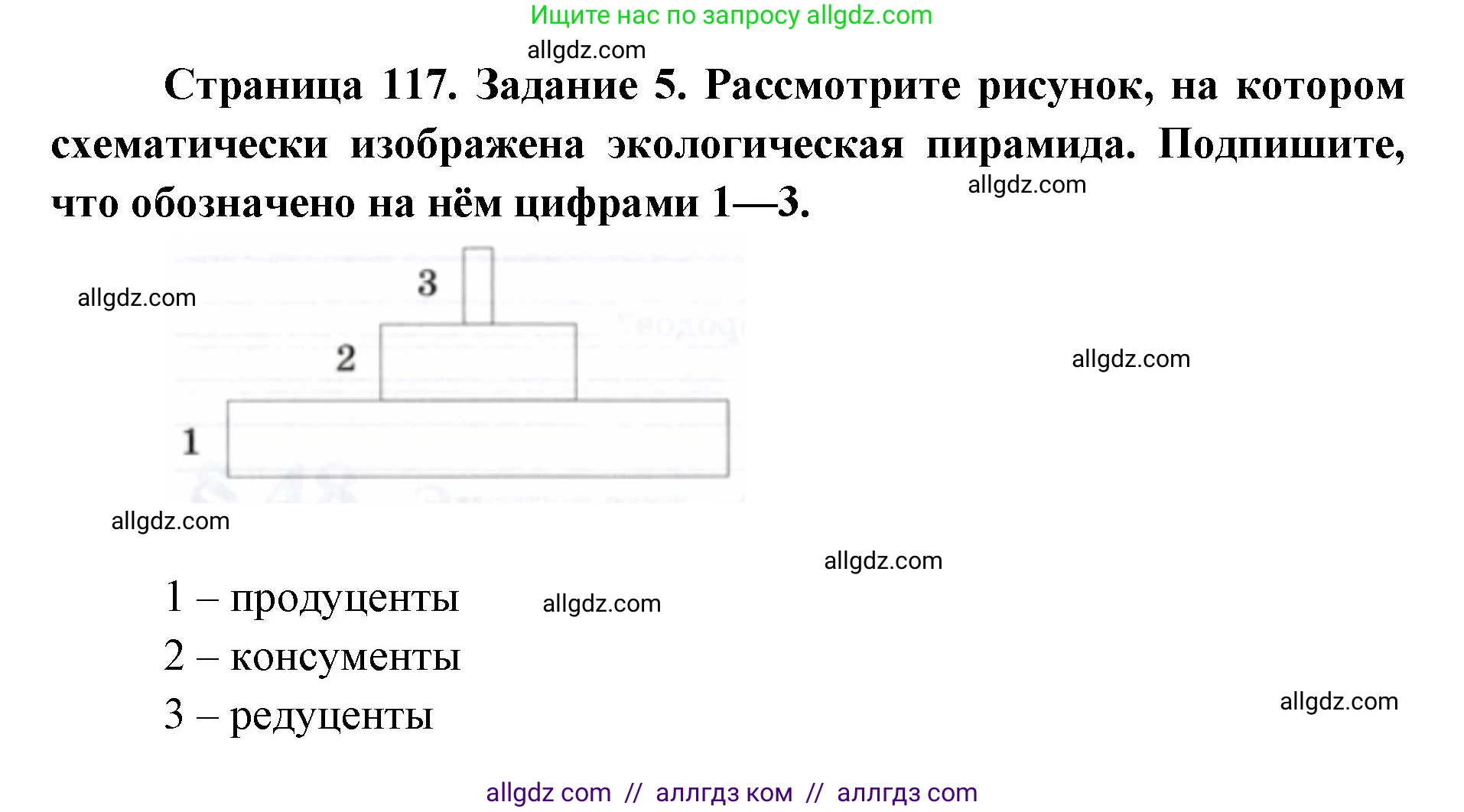 Биология, 9 класс рабочая тетрадь, авторы: Пасечник Владимир Васильевич, Швецов Глеб Геннадьевич, издательство Просвещение, Москва, 2019, страница 117, номер 5, Решение