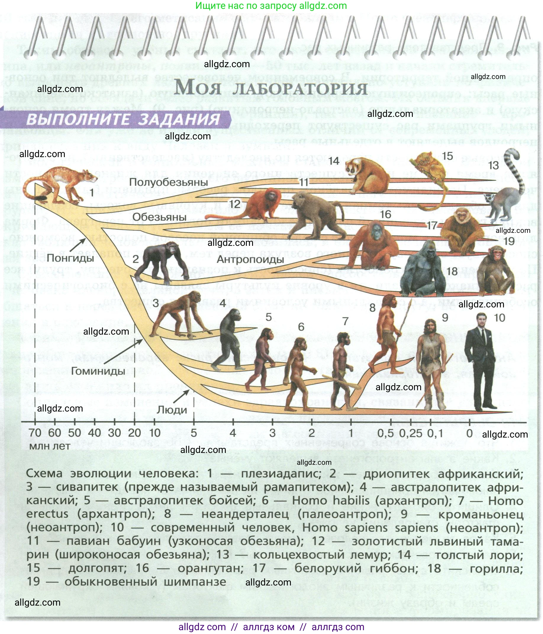 Биология, 9 класс Учебник, авторы: Пасечник Владимир Васильевич, Каменский Андрей Александрович, Швецов Глеб Геннадьевич, Гапонюк Зоя Георгиевна, издательство Просвещение, Москва, 2023, белого цвета, страница 22, Условие