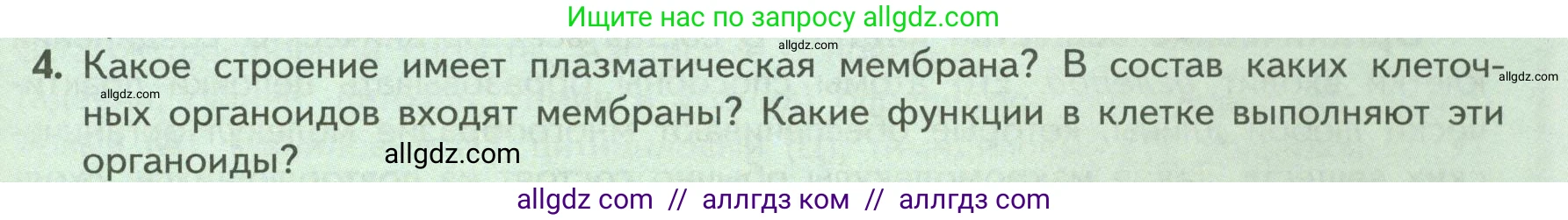 Биология, 9 класс Учебник, авторы: Пасечник Владимир Васильевич, Каменский Андрей Александрович, Швецов Глеб Геннадьевич, Гапонюк Зоя Георгиевна, издательство Просвещение, Москва, 2023, белого цвета, страница 31, номер 4, Условие