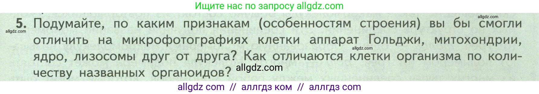 Биология, 9 класс Учебник, авторы: Пасечник Владимир Васильевич, Каменский Андрей Александрович, Швецов Глеб Геннадьевич, Гапонюк Зоя Георгиевна, издательство Просвещение, Москва, 2023, белого цвета, страница 31, номер 5, Условие