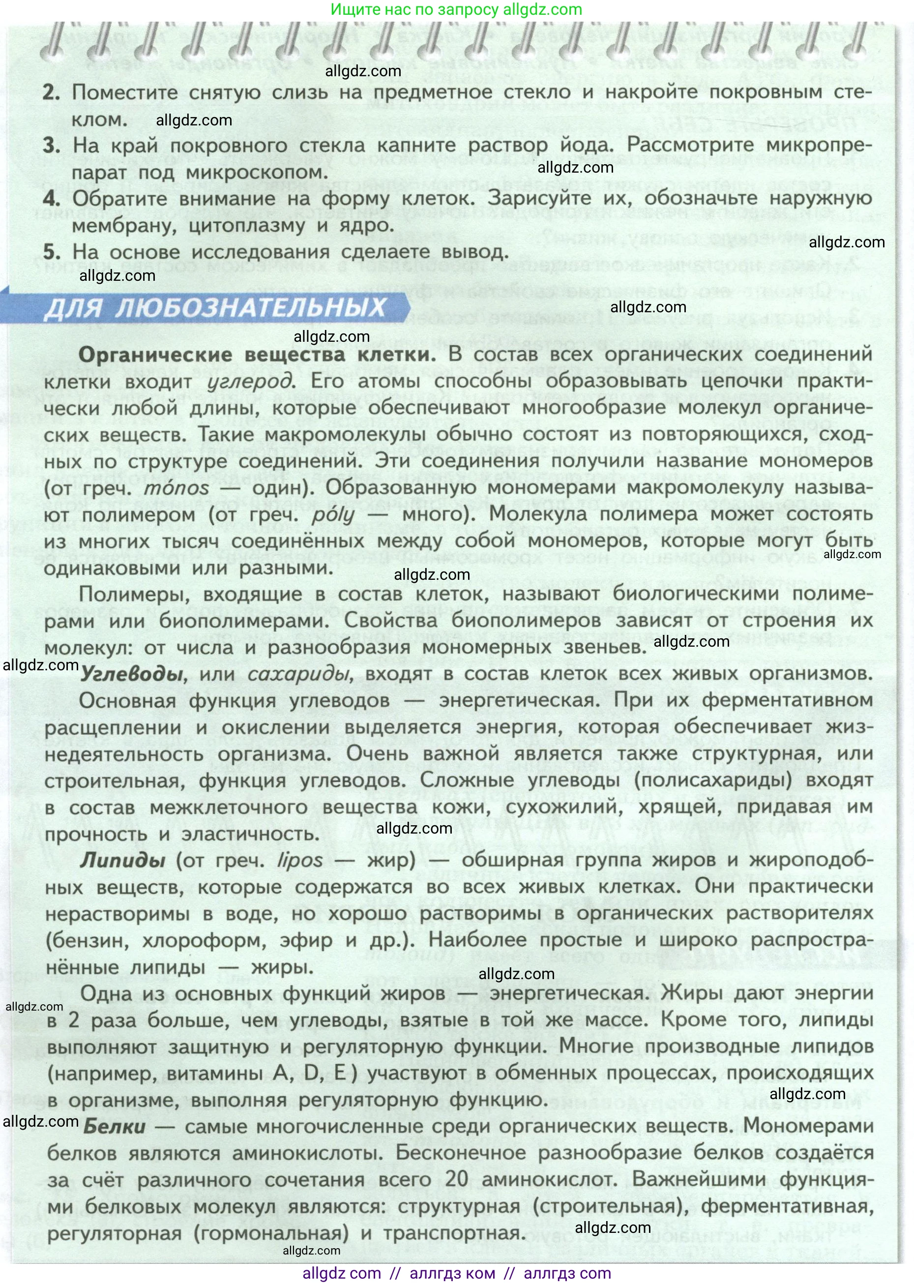 Биология, 9 класс Учебник, авторы: Пасечник Владимир Васильевич, Каменский Андрей Александрович, Швецов Глеб Геннадьевич, Гапонюк Зоя Георгиевна, издательство Просвещение, Москва, 2023, белого цвета, страница 31, Условие (продолжение 2)