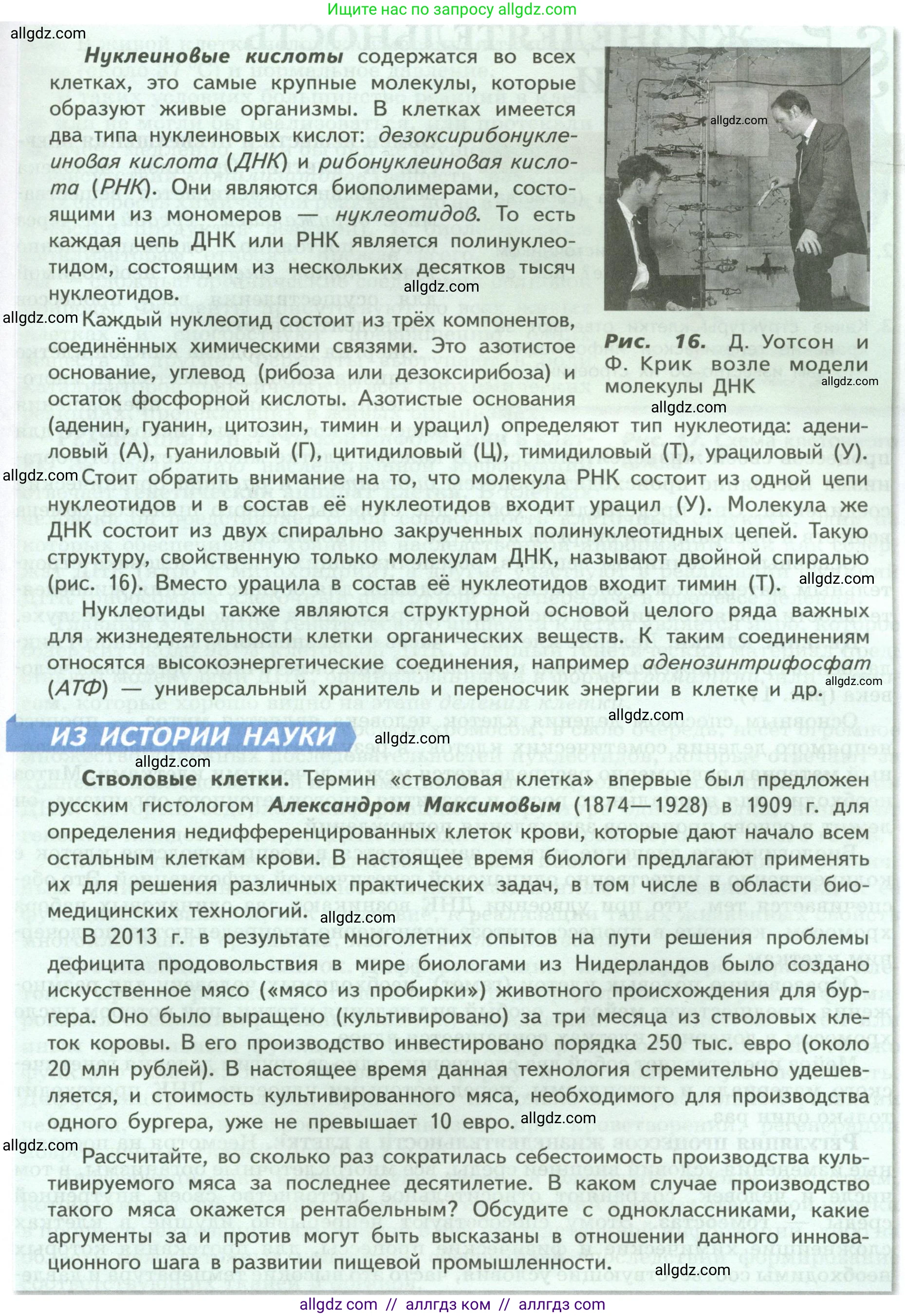 Биология, 9 класс Учебник, авторы: Пасечник Владимир Васильевич, Каменский Андрей Александрович, Швецов Глеб Геннадьевич, Гапонюк Зоя Георгиевна, издательство Просвещение, Москва, 2023, белого цвета, страница 31, Условие (продолжение 3)